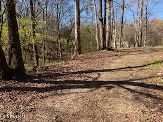 Church Drive Property Photo 21