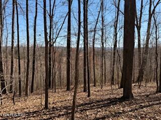 Church Drive Property Photo 23