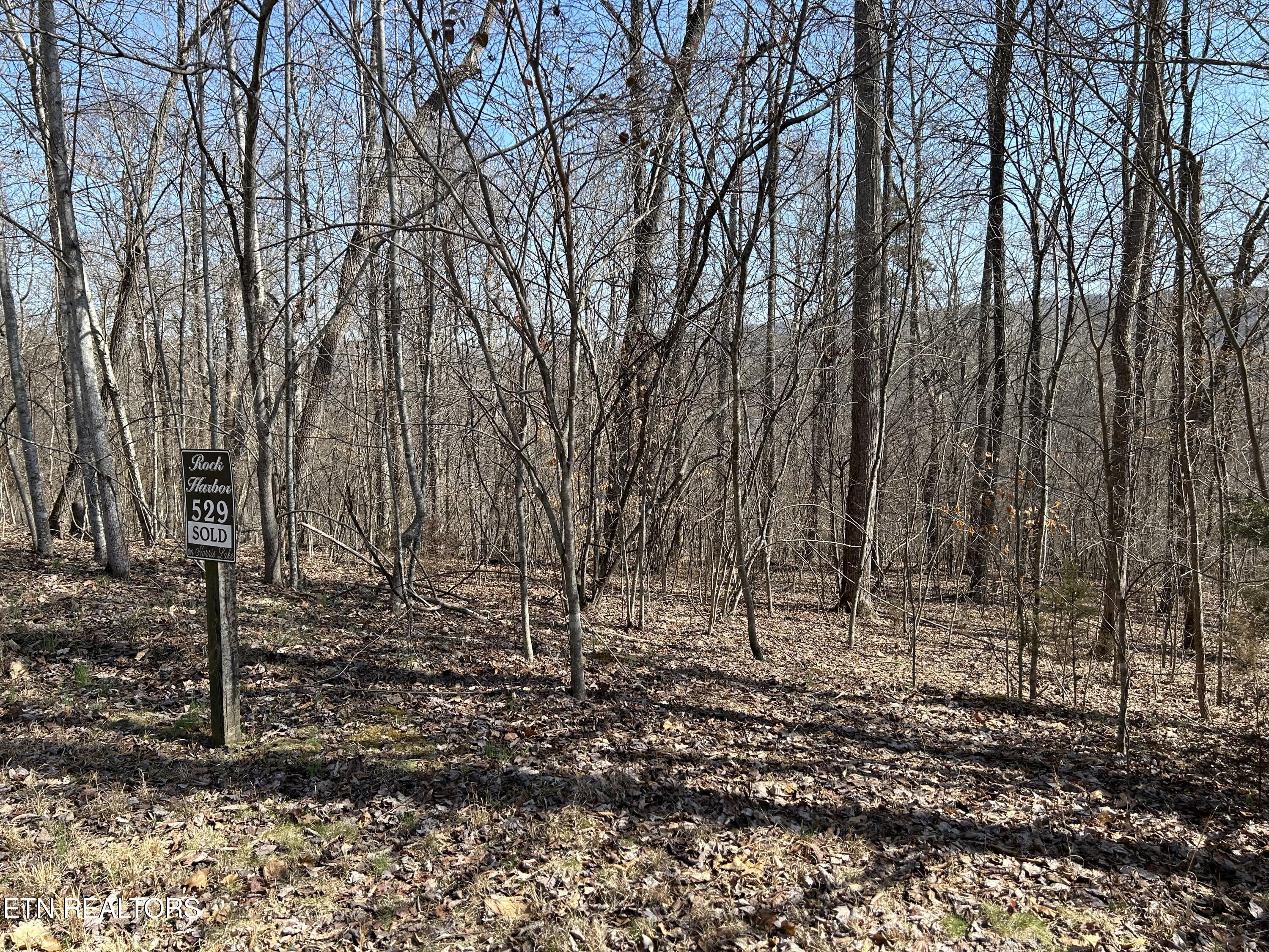 Lot 529 Garnet Trail Tr Property Photo 1