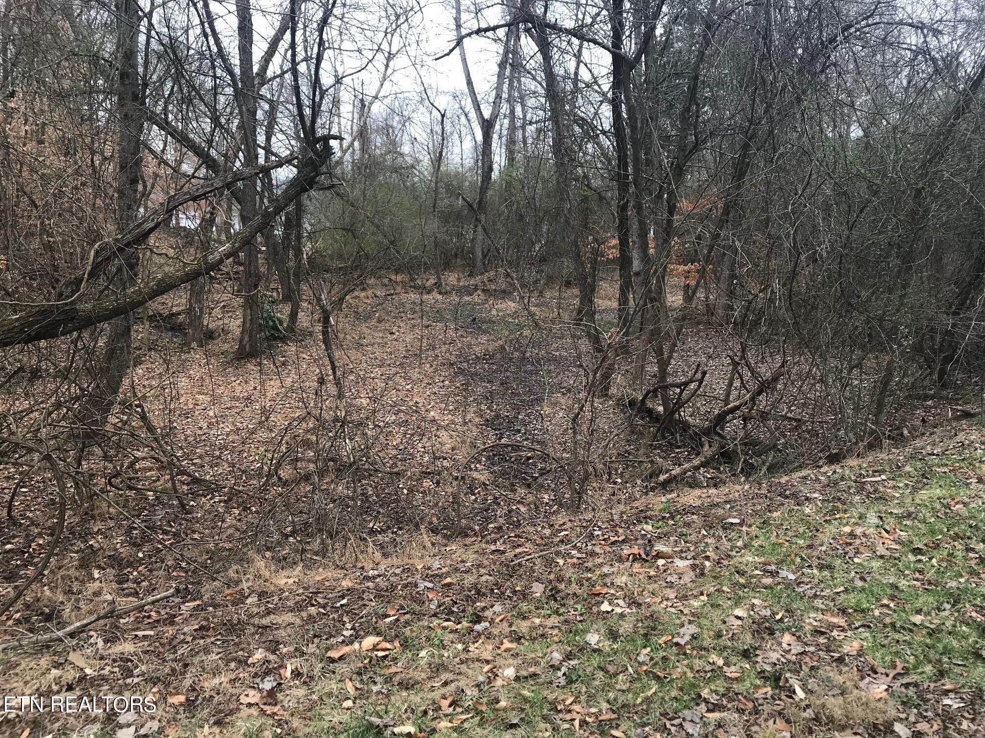Cherokee Circle Property Photo