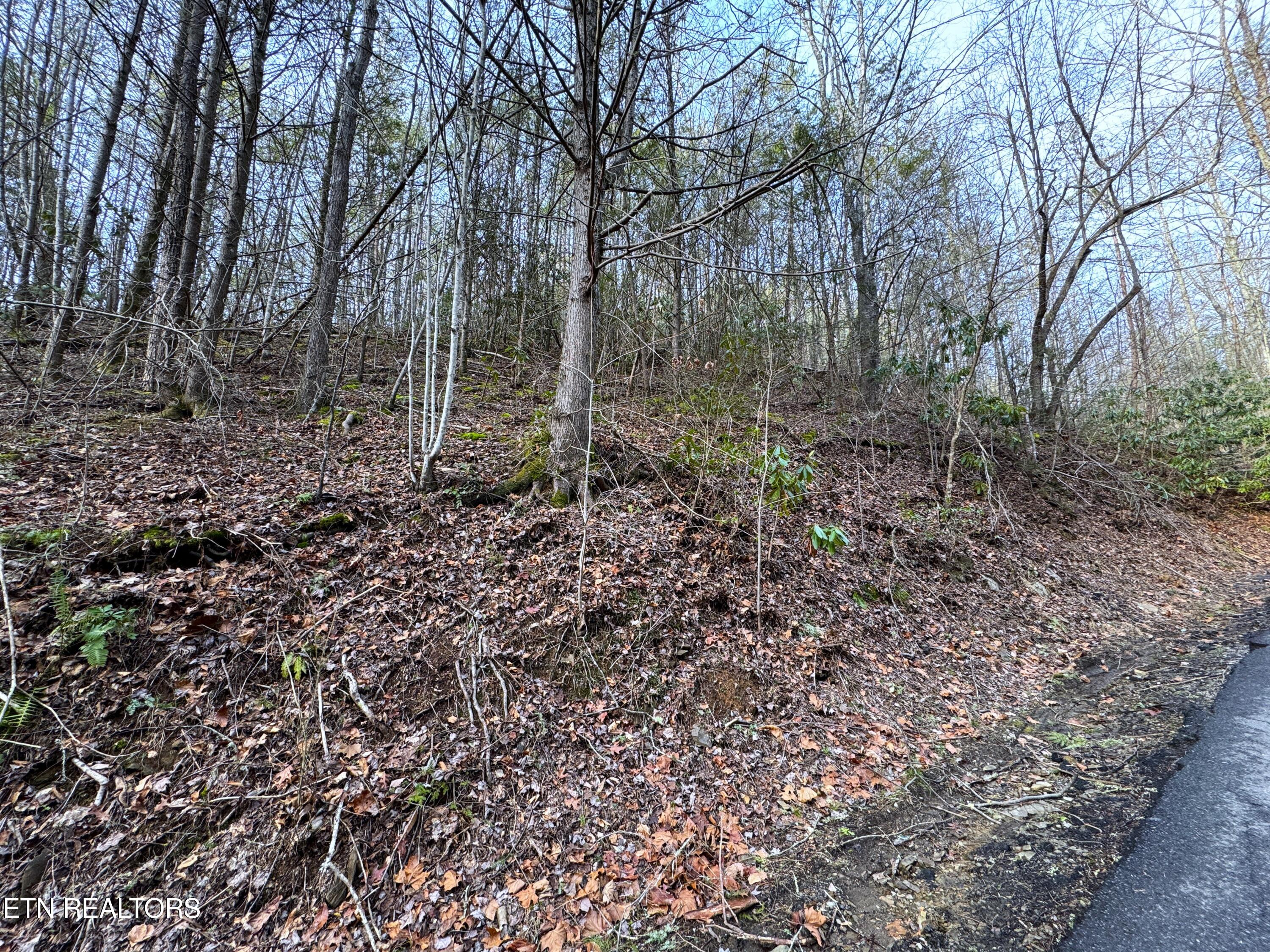 Black Gum Rd Property Photo
