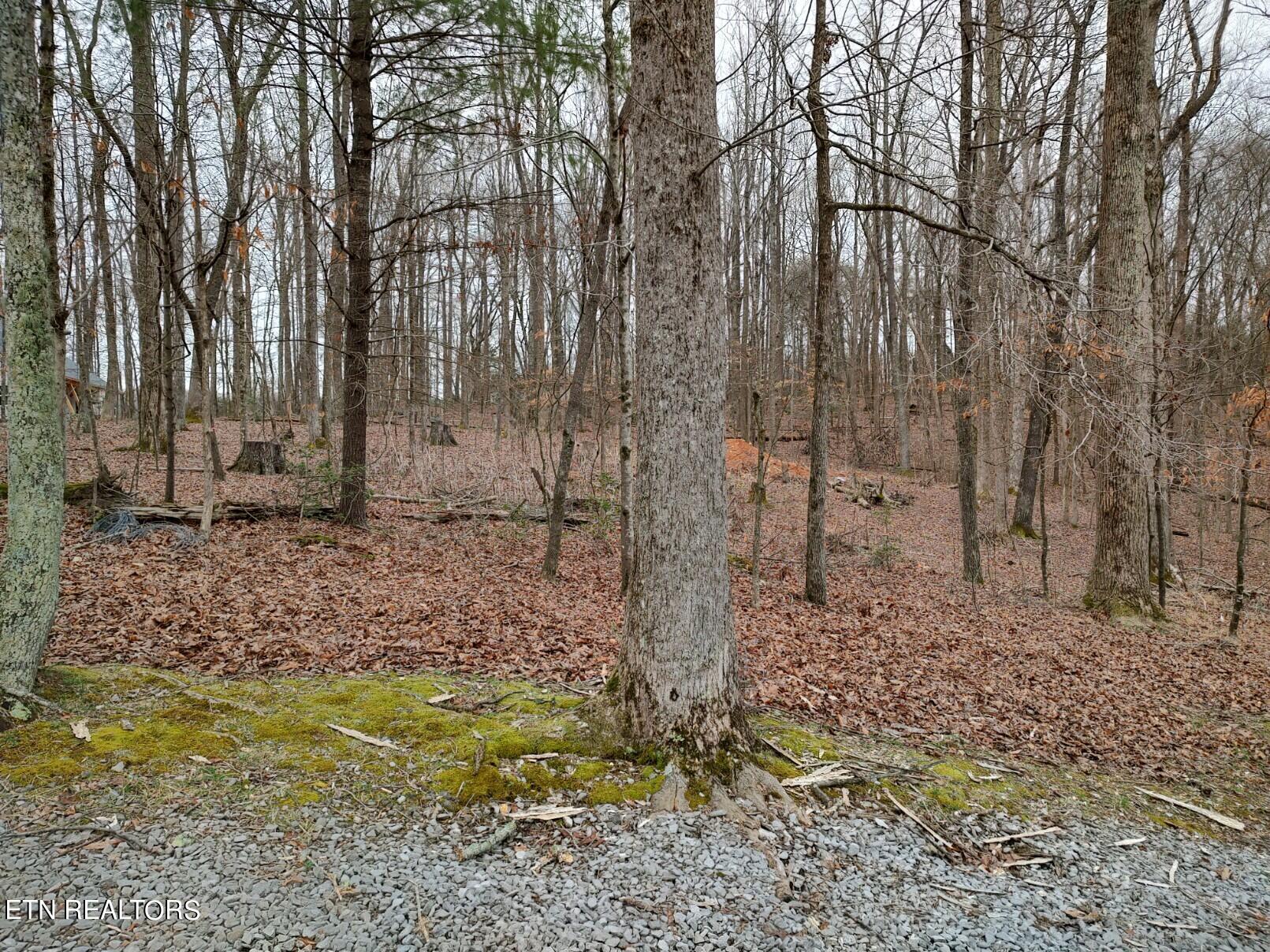 690 Dogwood Drive Property Photo