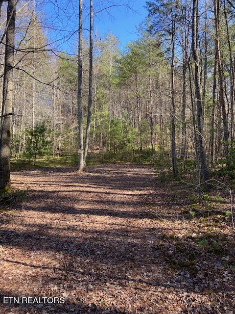 137 Rocky Ford Rd Property Photo