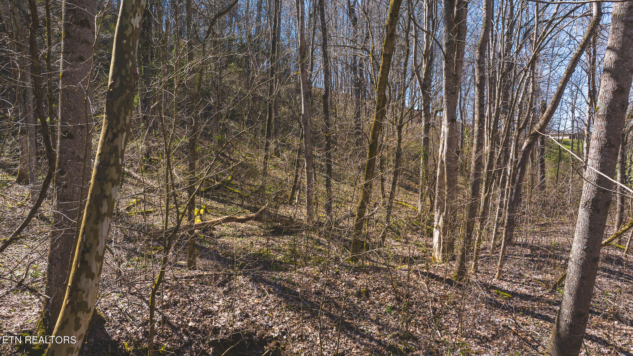 470 Old Mountain Rd Property Photo