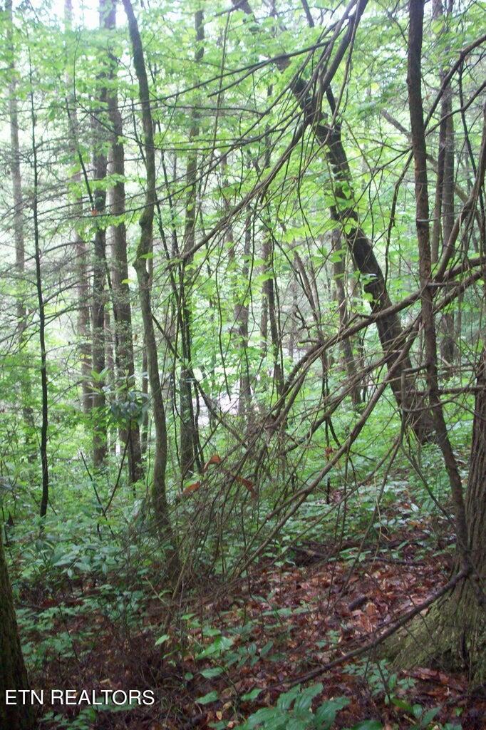 509 Chetola Trail Property Photo 1
