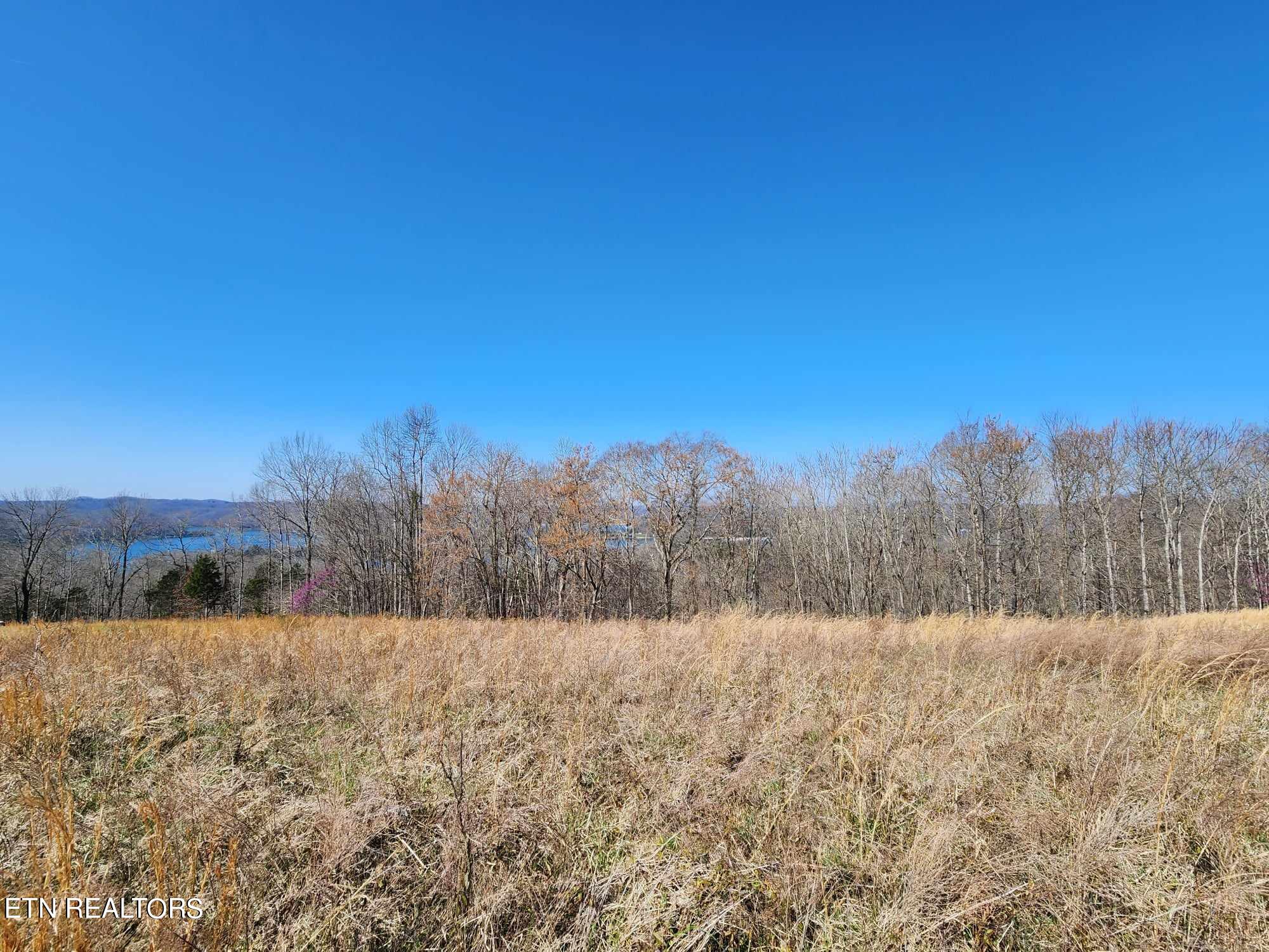 Lot 46b Bald Eagle Lane Property Photo 1