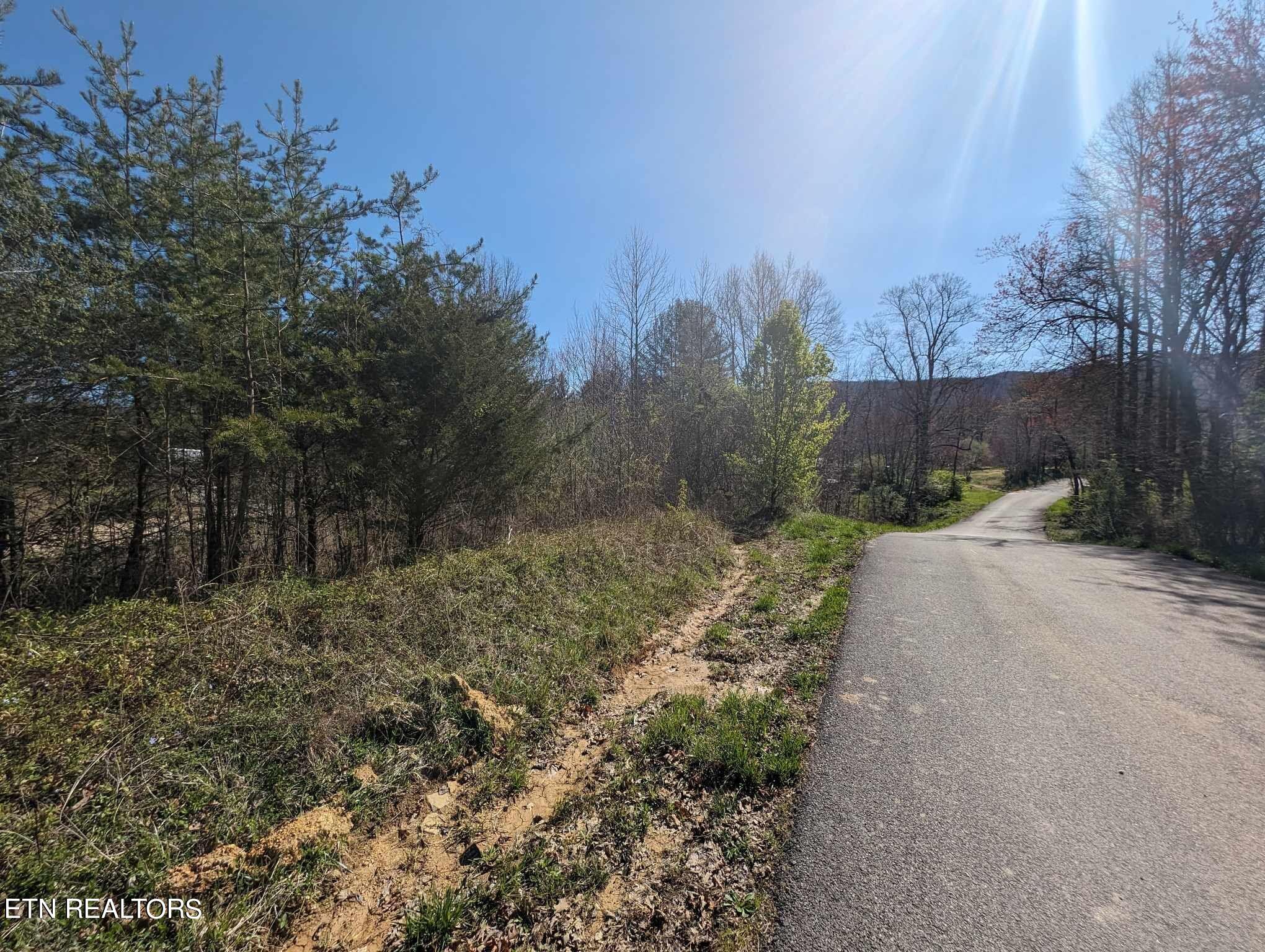 1601 Straight Fork Road Rd Property Photo 3