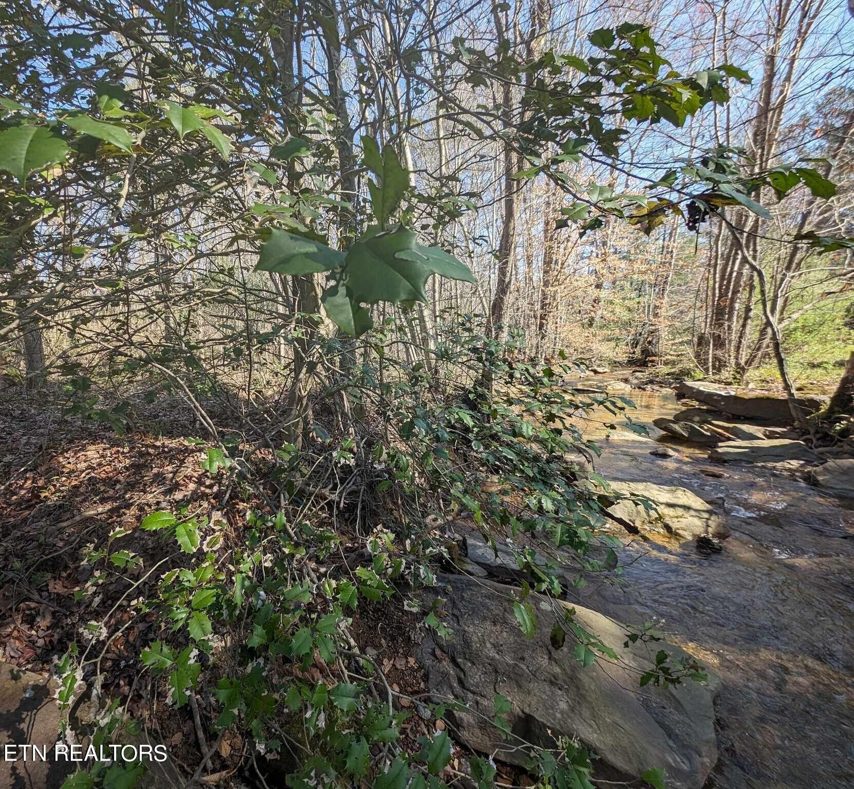 1601 Straight Fork Road Rd Property Photo 6