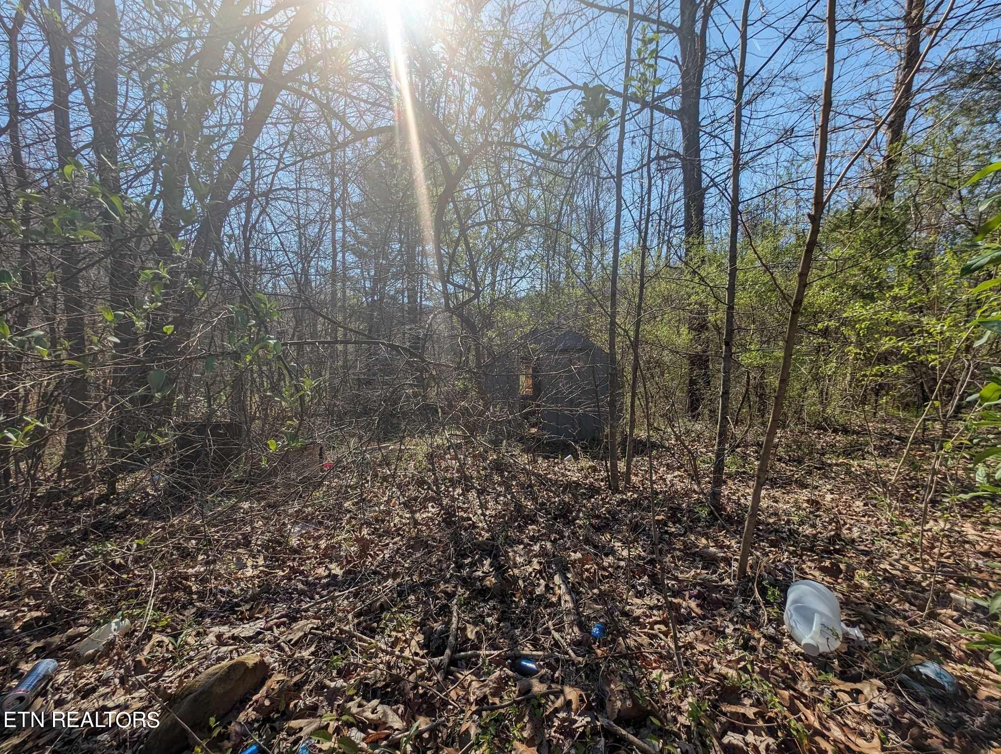 1601 Straight Fork Road Rd Property Photo 7