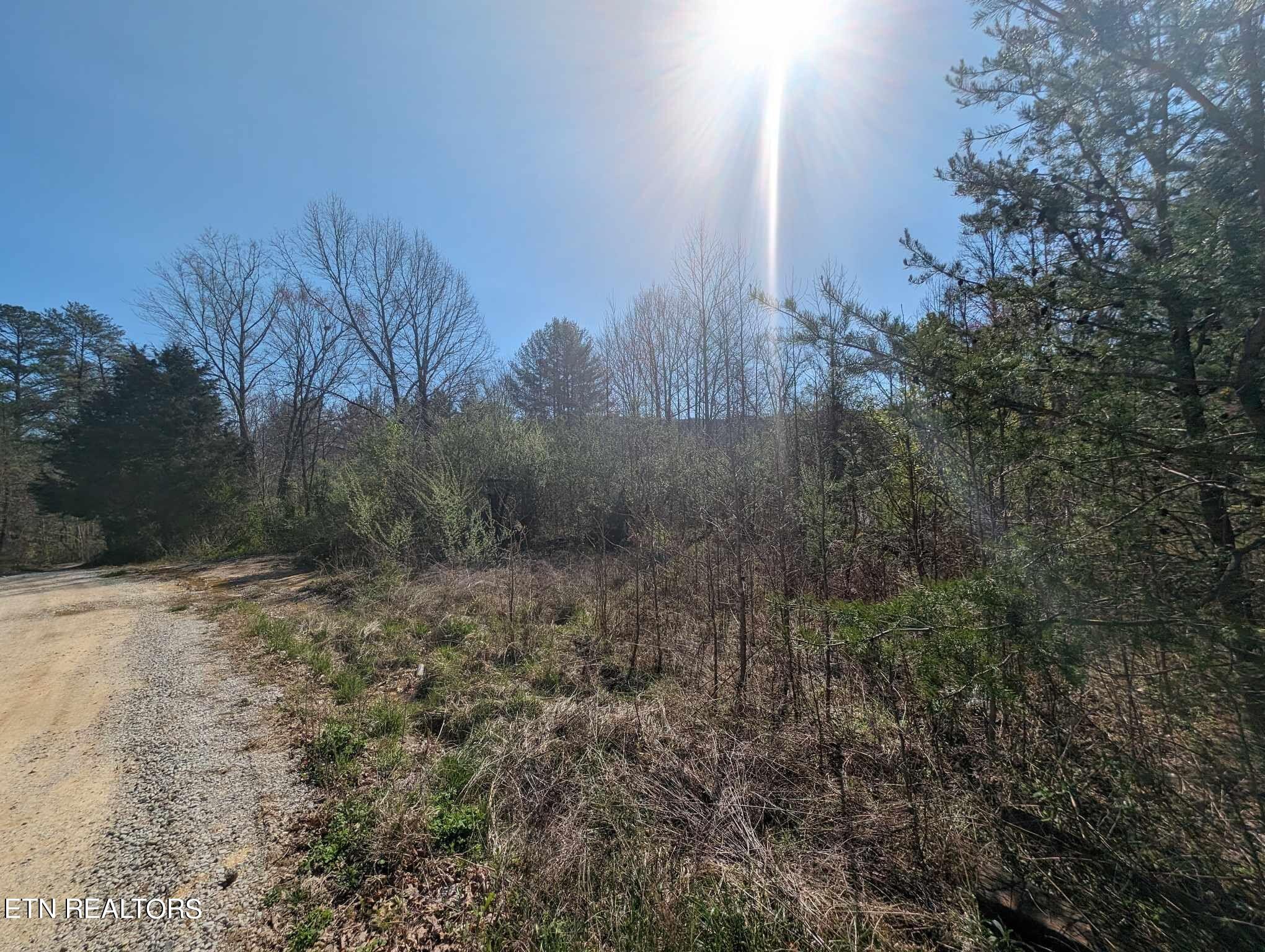 1601 Straight Fork Road Rd Property Photo 10
