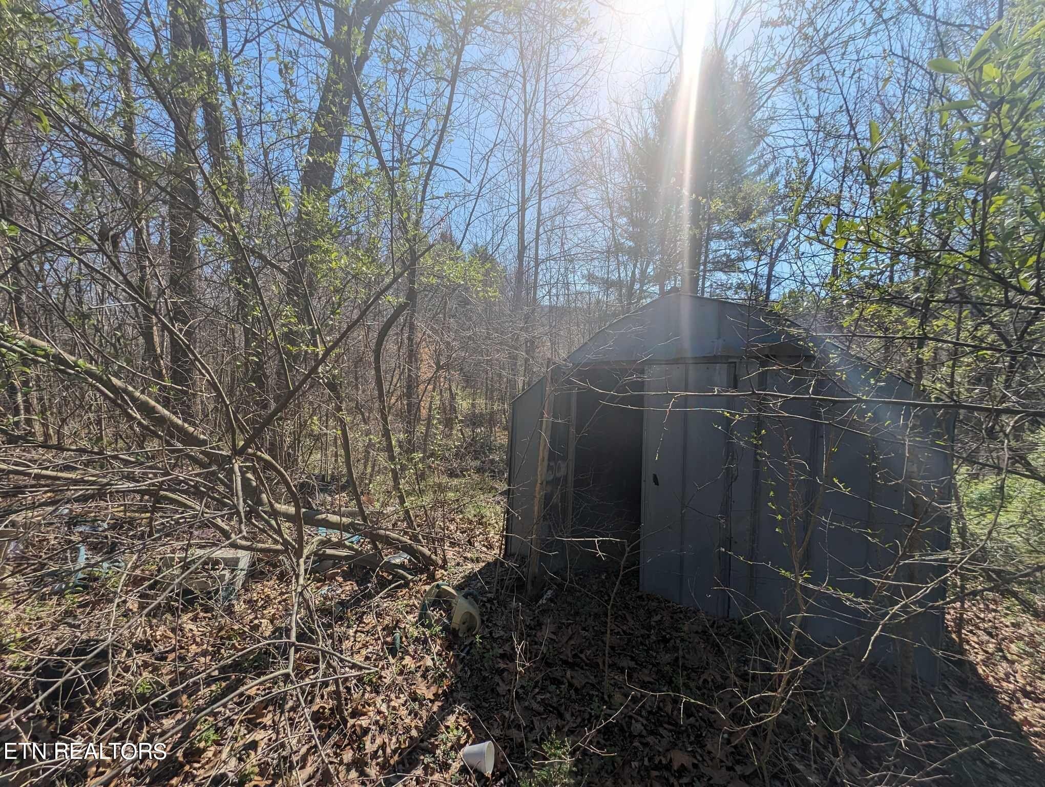 1601 Straight Fork Road Rd Property Photo 11