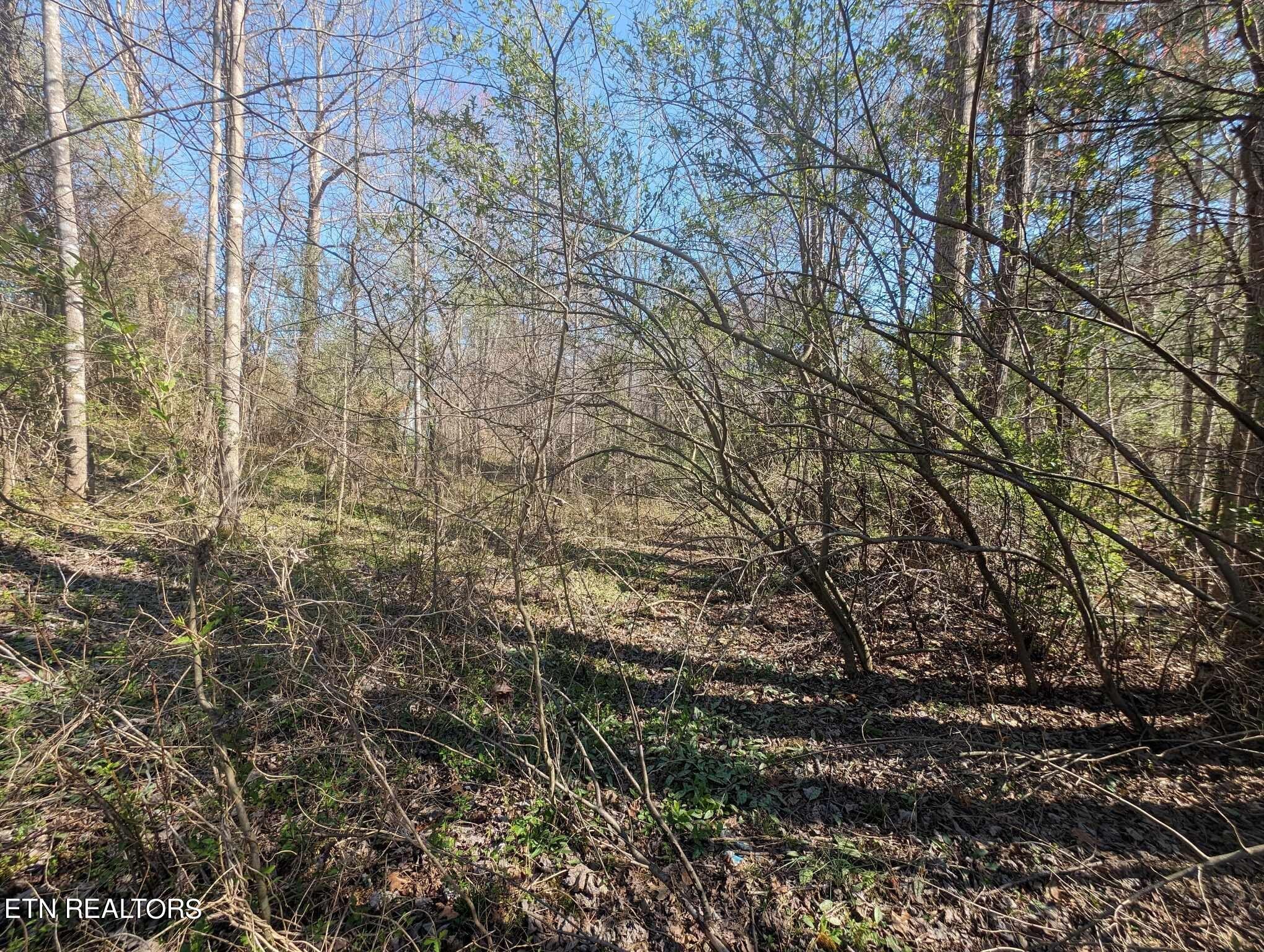 1601 Straight Fork Road Rd Property Photo 12