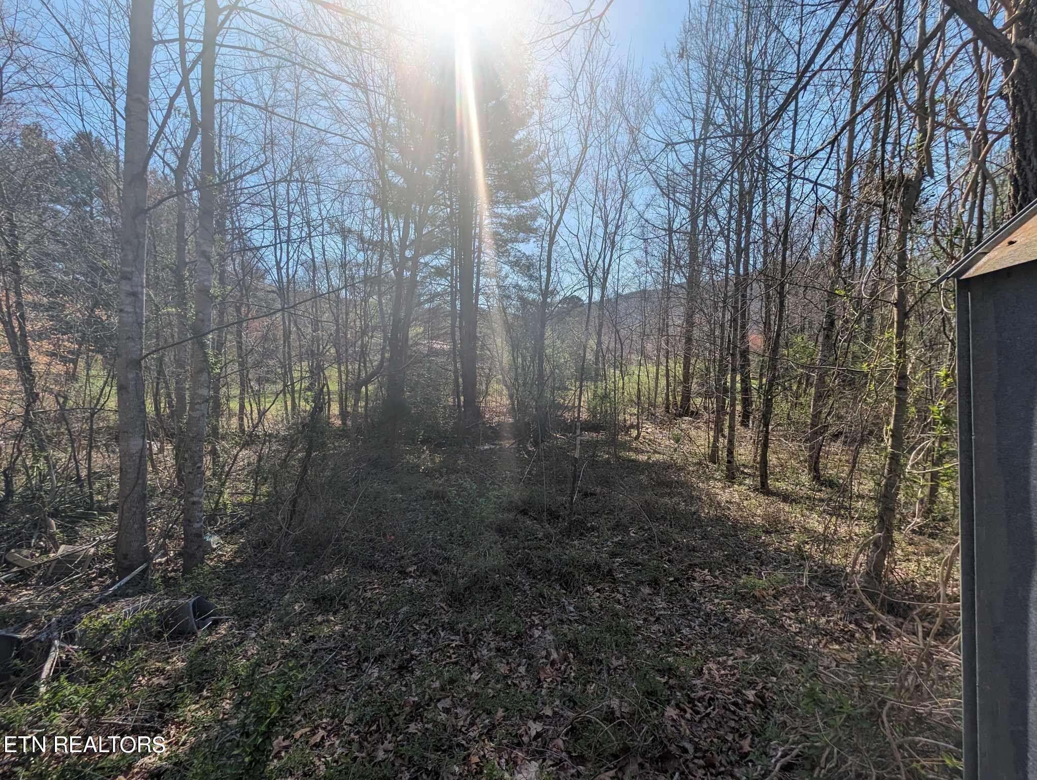 1601 Straight Fork Road Rd Property Photo 13