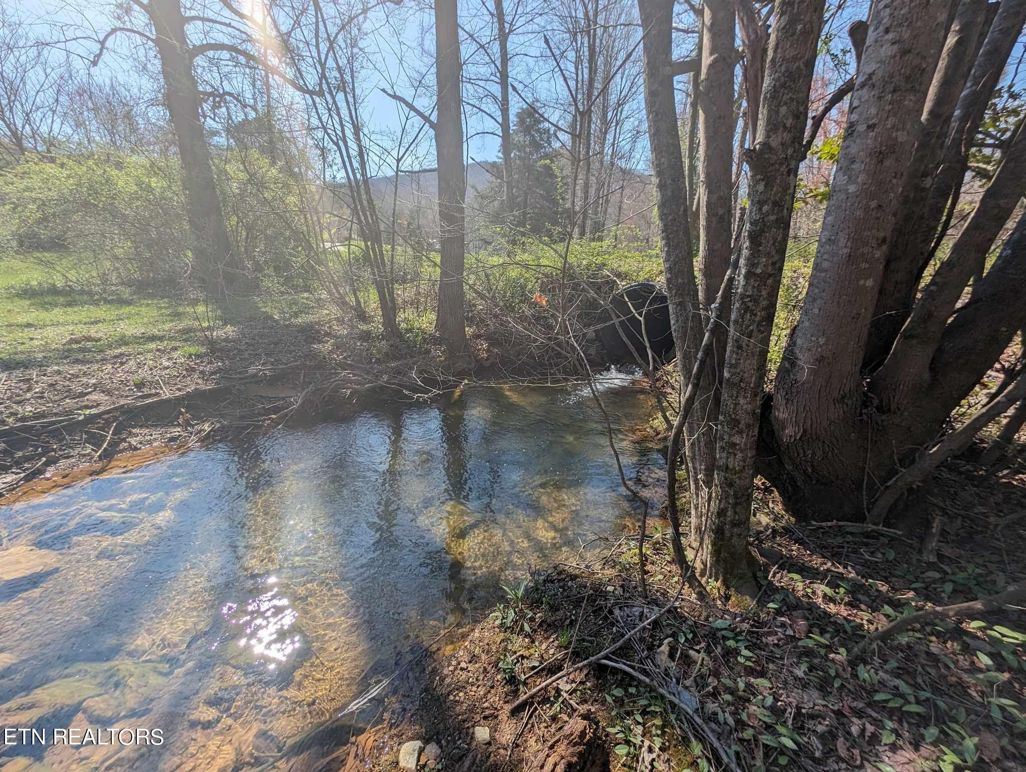 1601 Straight Fork Road Rd Property Photo 14