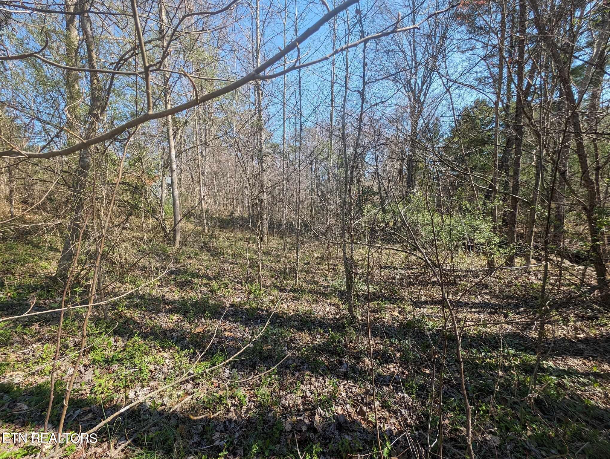 1601 Straight Fork Road Rd Property Photo 15