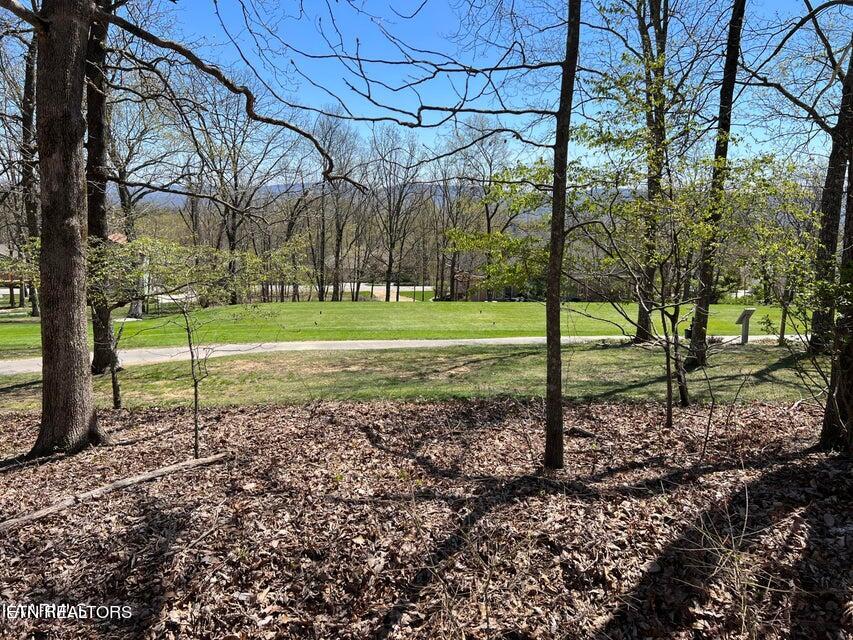 137 Brokenwood Lane Property Photo 3