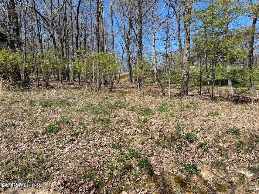 137 Brokenwood Lane Property Photo 4