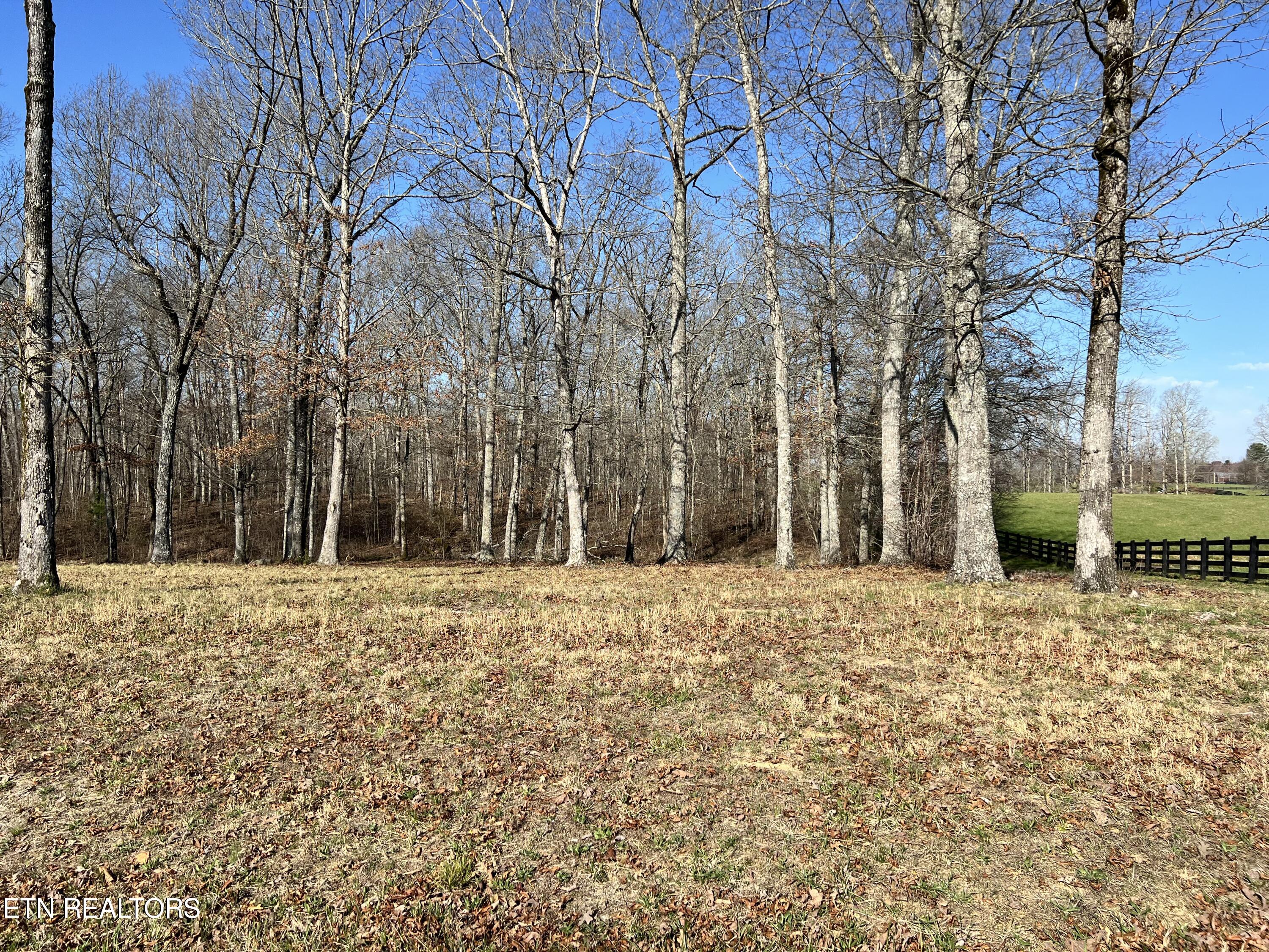 Lot 8 Catoosa Ridge Drive Property Photo