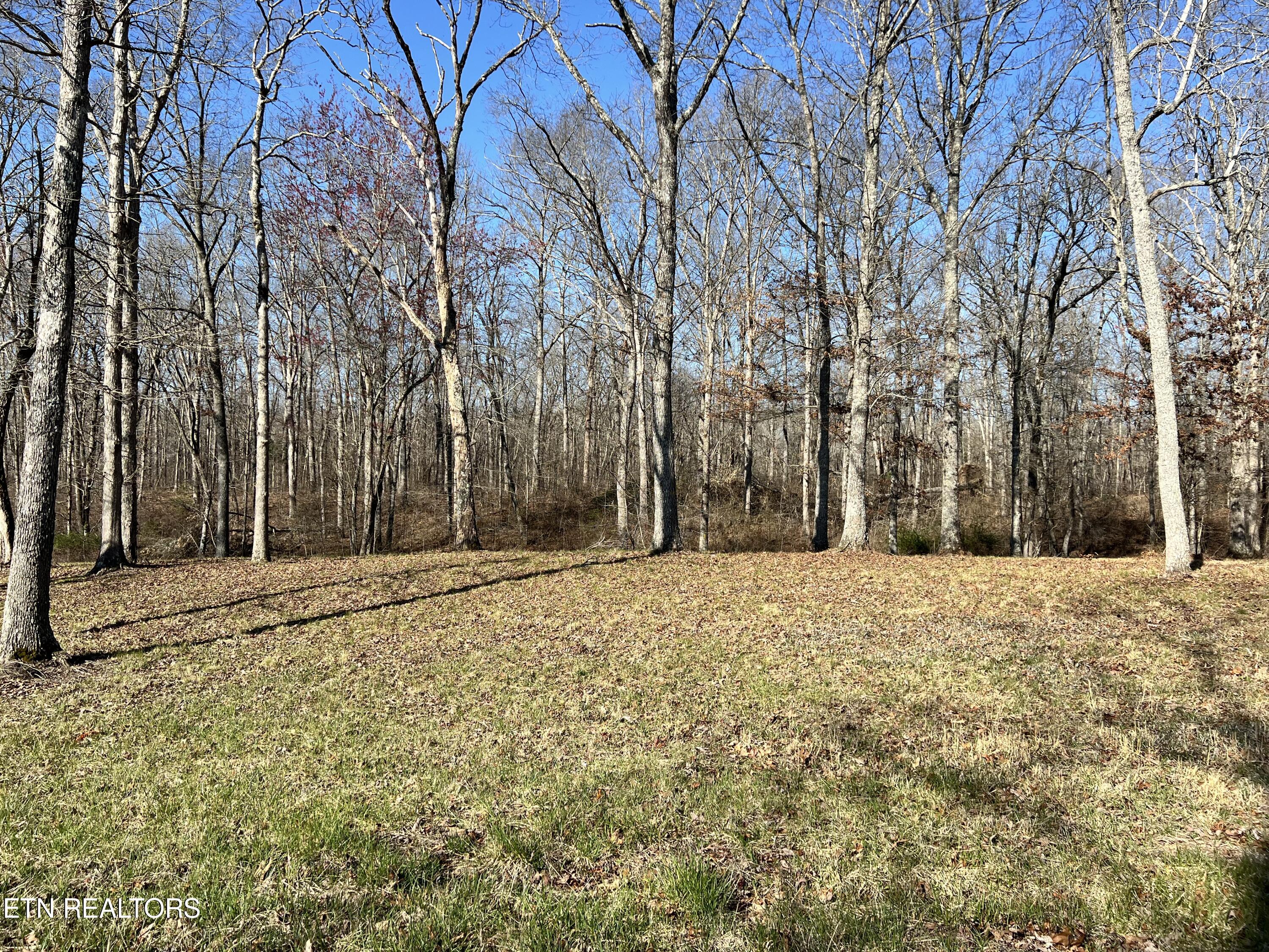 Lot 9 Bluff View Loop Property Photo