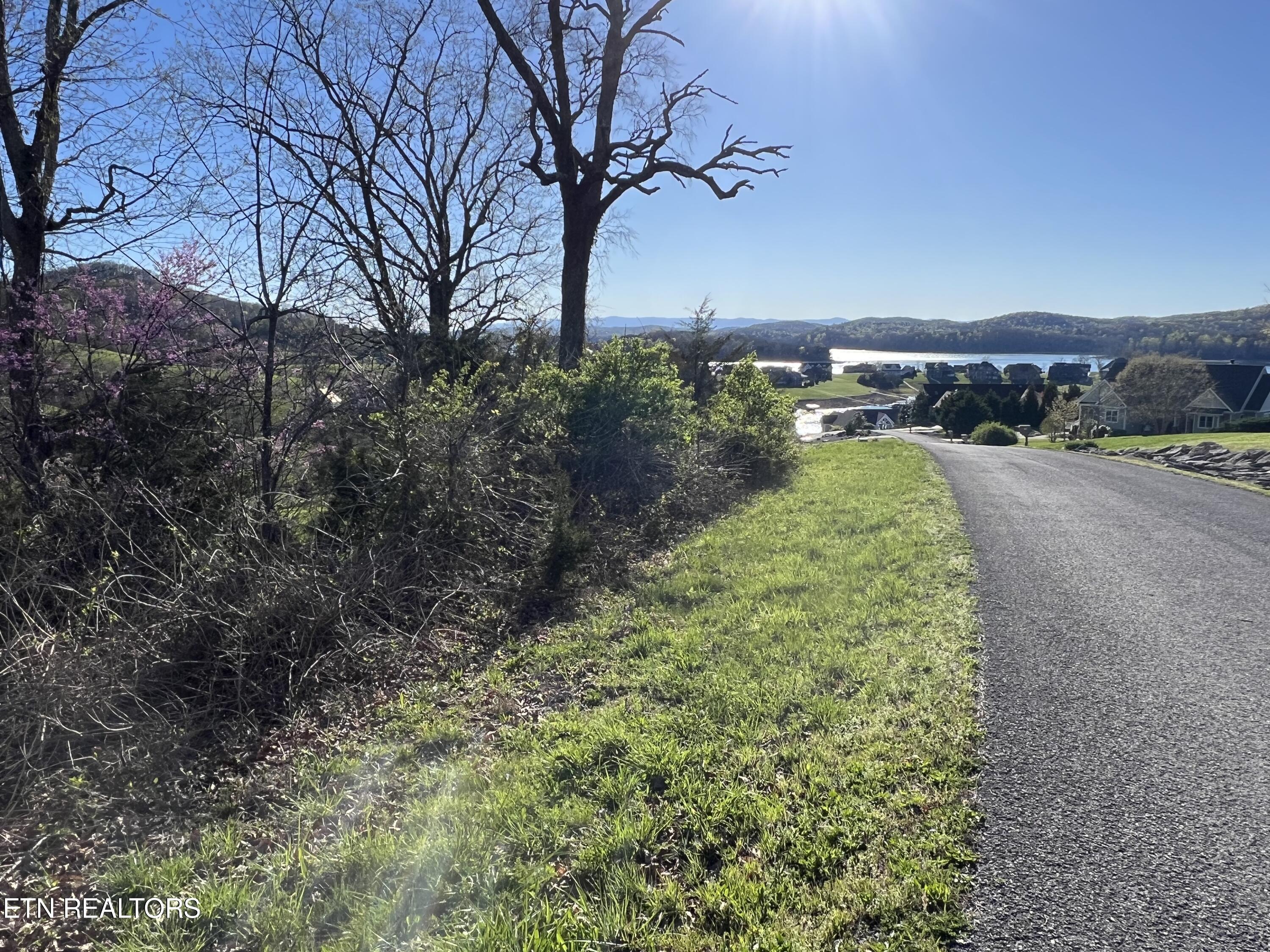 Lot 356r Larayne Hollow Rd Property Photo