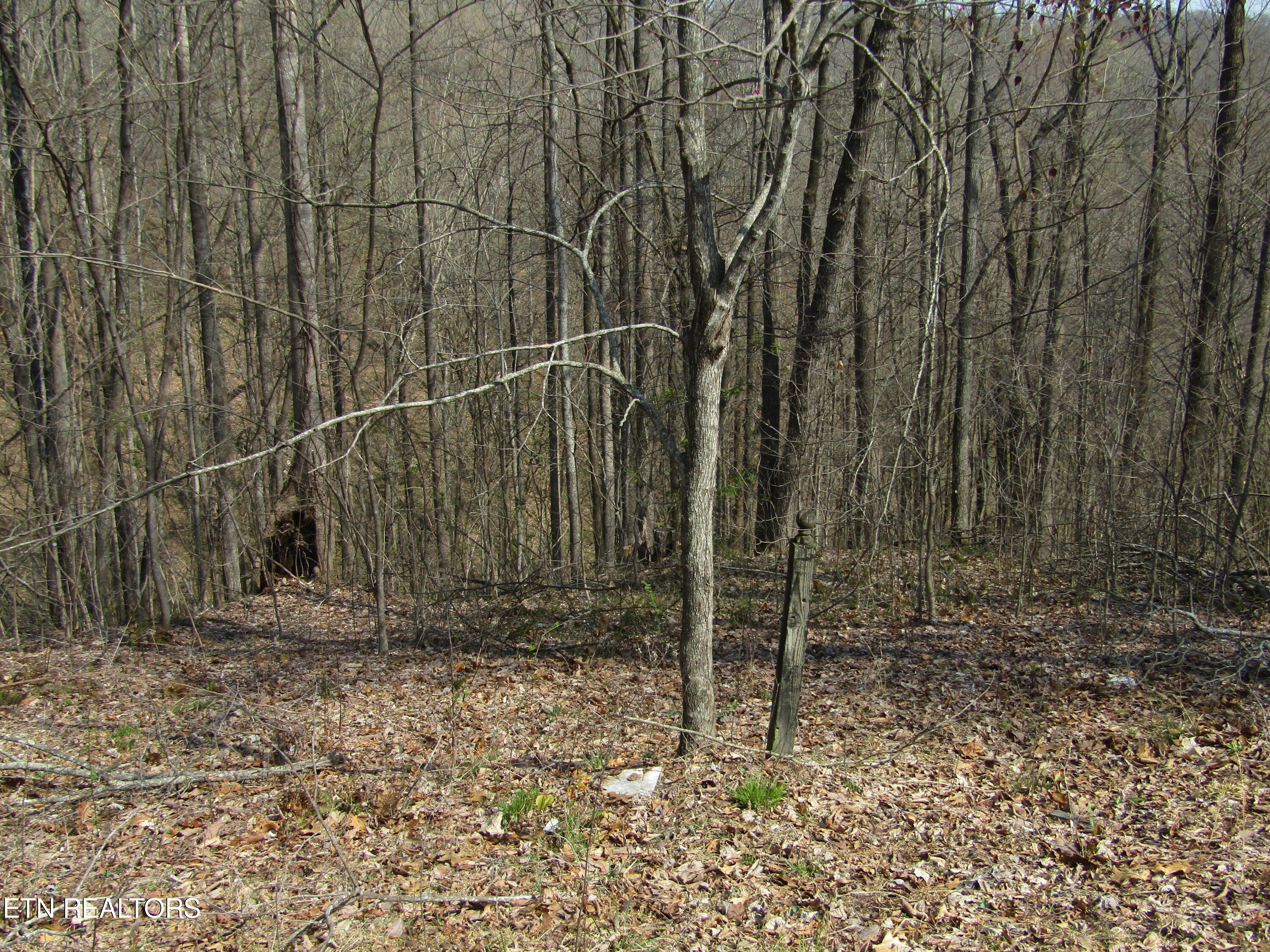 4.71ac Hunters S Landing Lane Property Photo 1