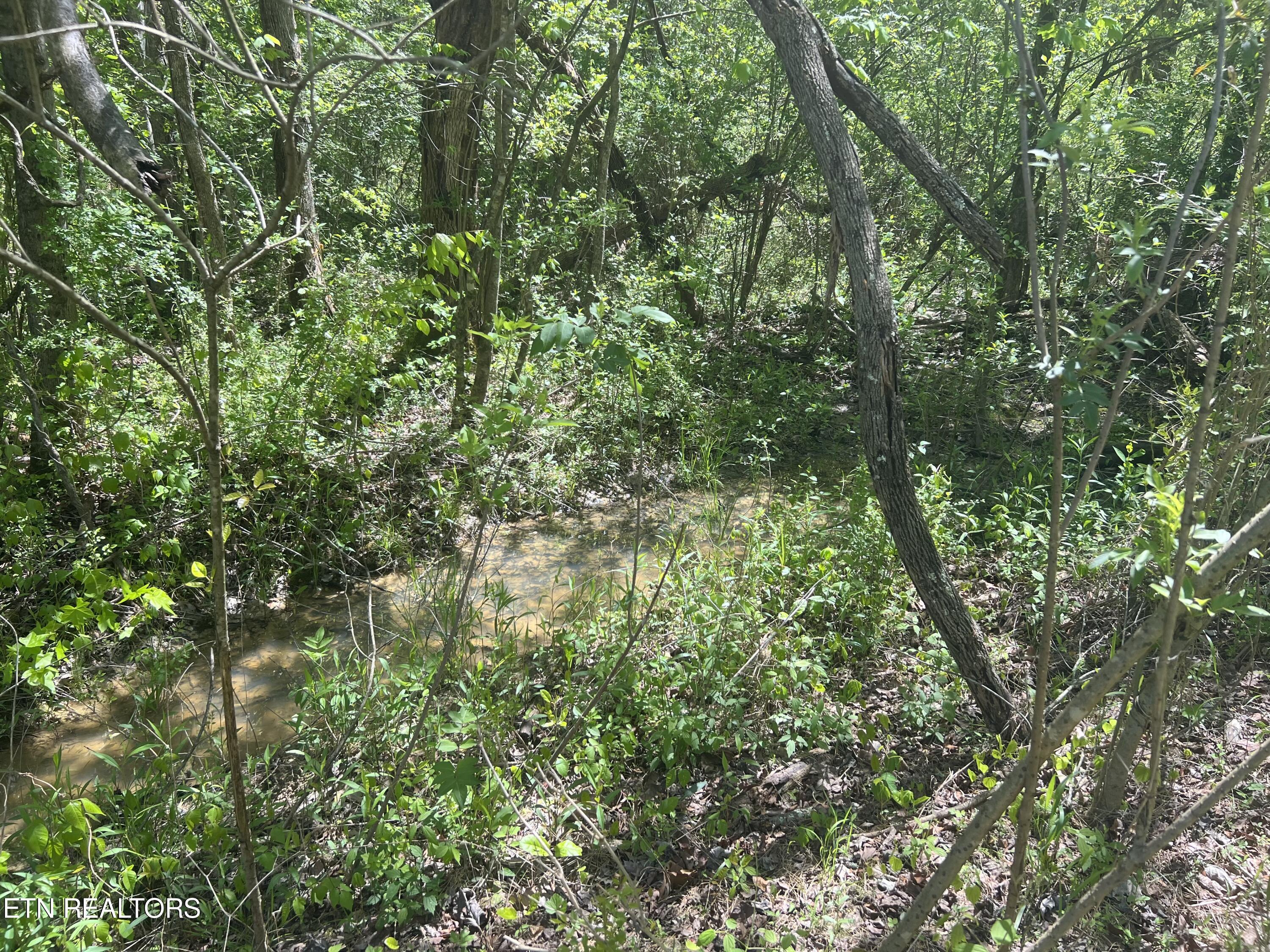 Dunn Rd Property Photo 1