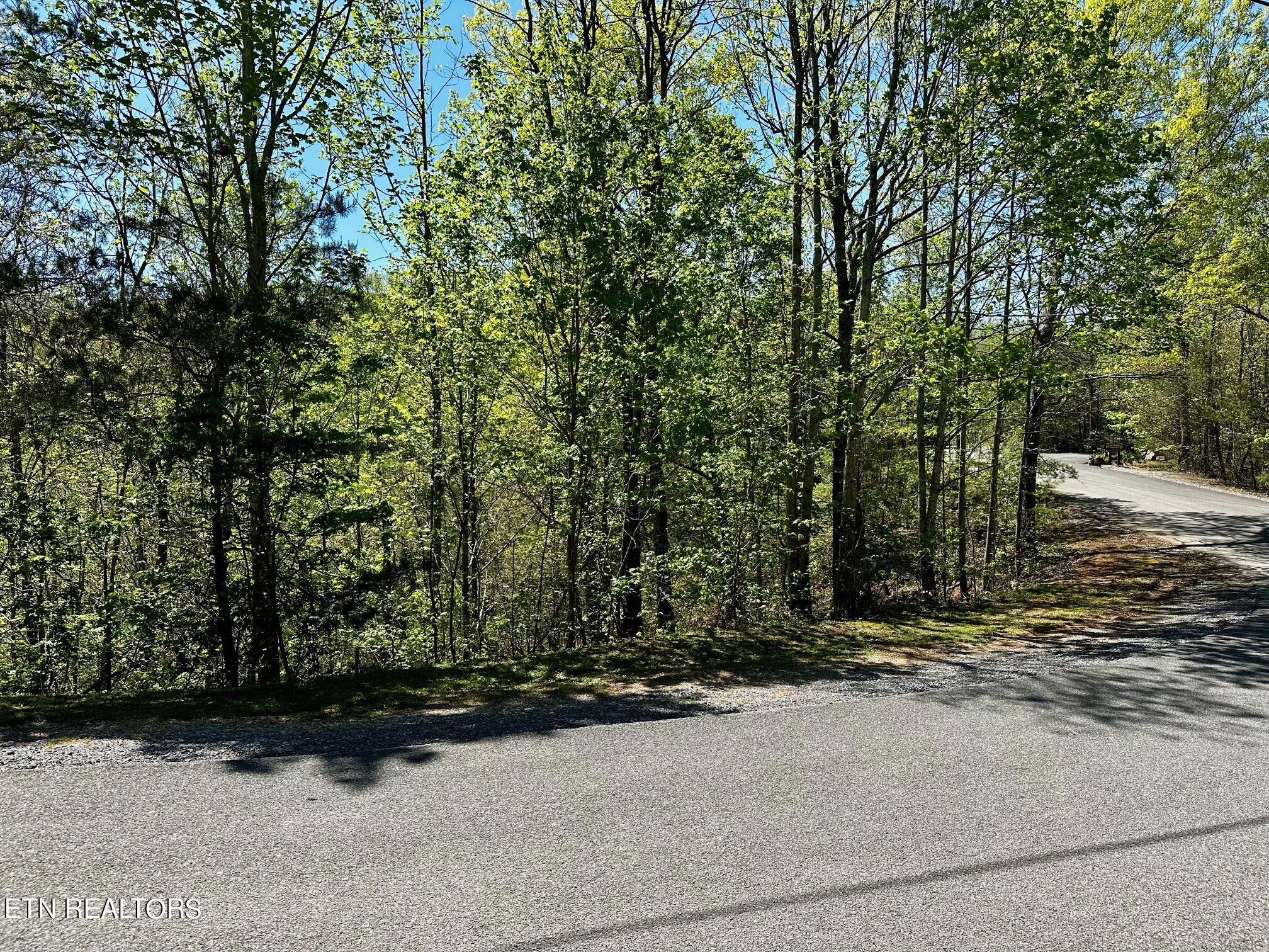 Mountain Dreams Way Property Photo 2