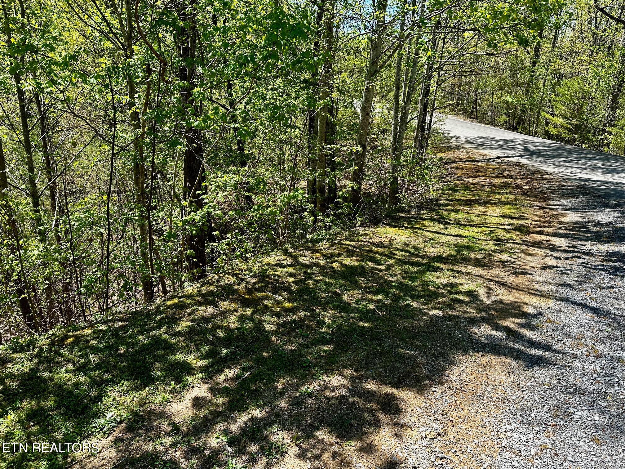 Mountain Dreams Way Property Photo 3