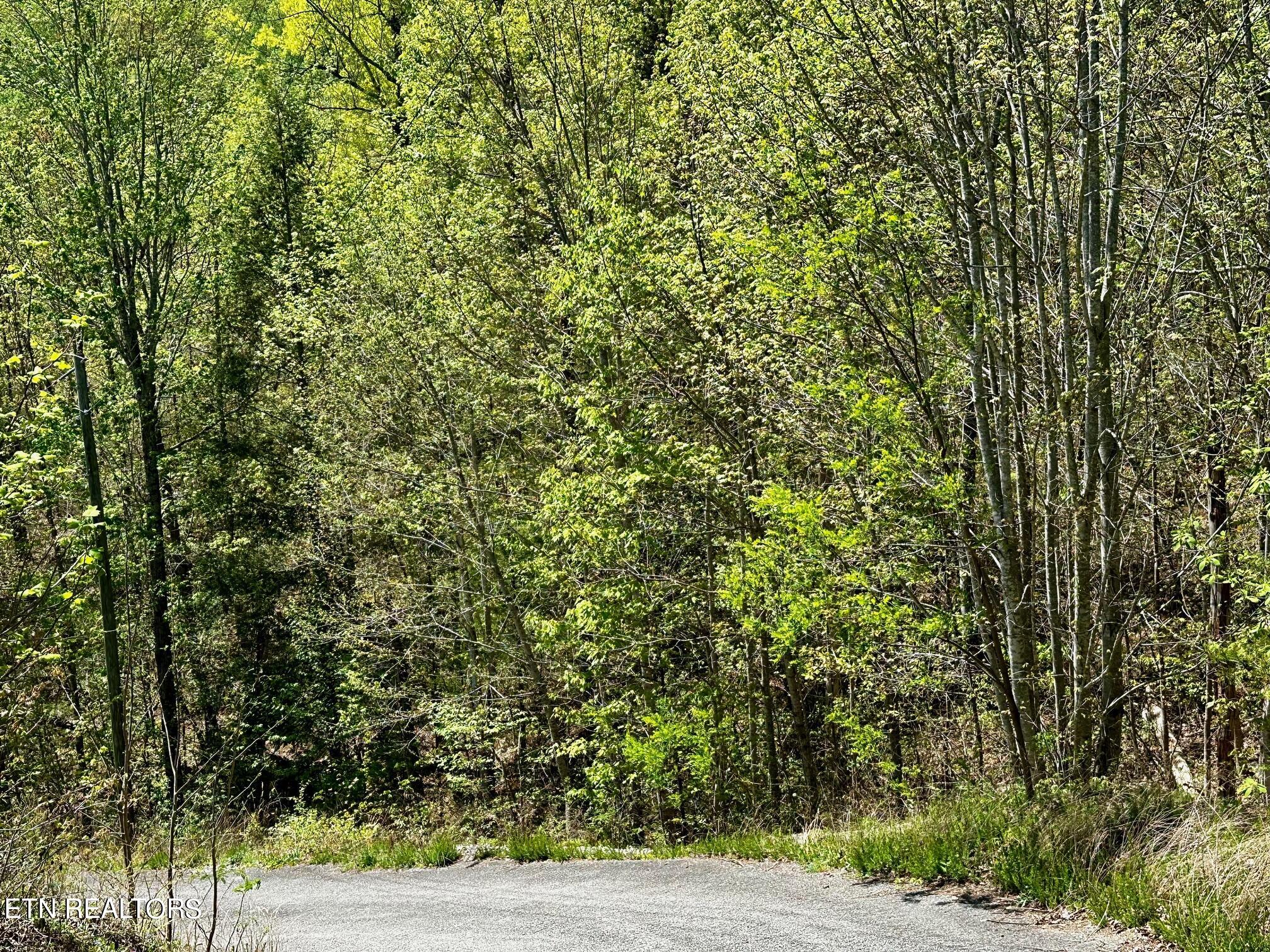 Mountain Dreams Way Property Photo 4
