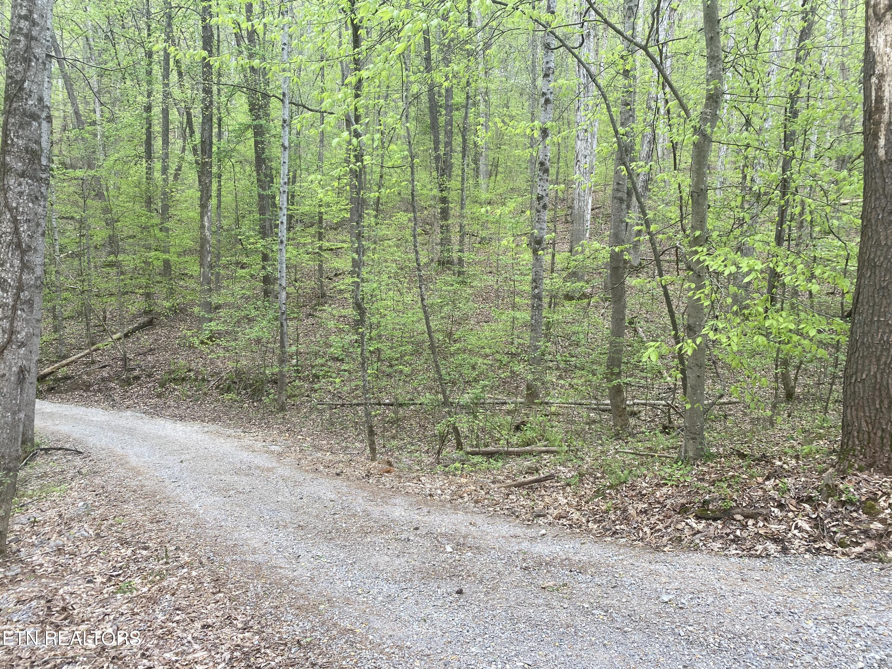 Lot#4 Property Photo