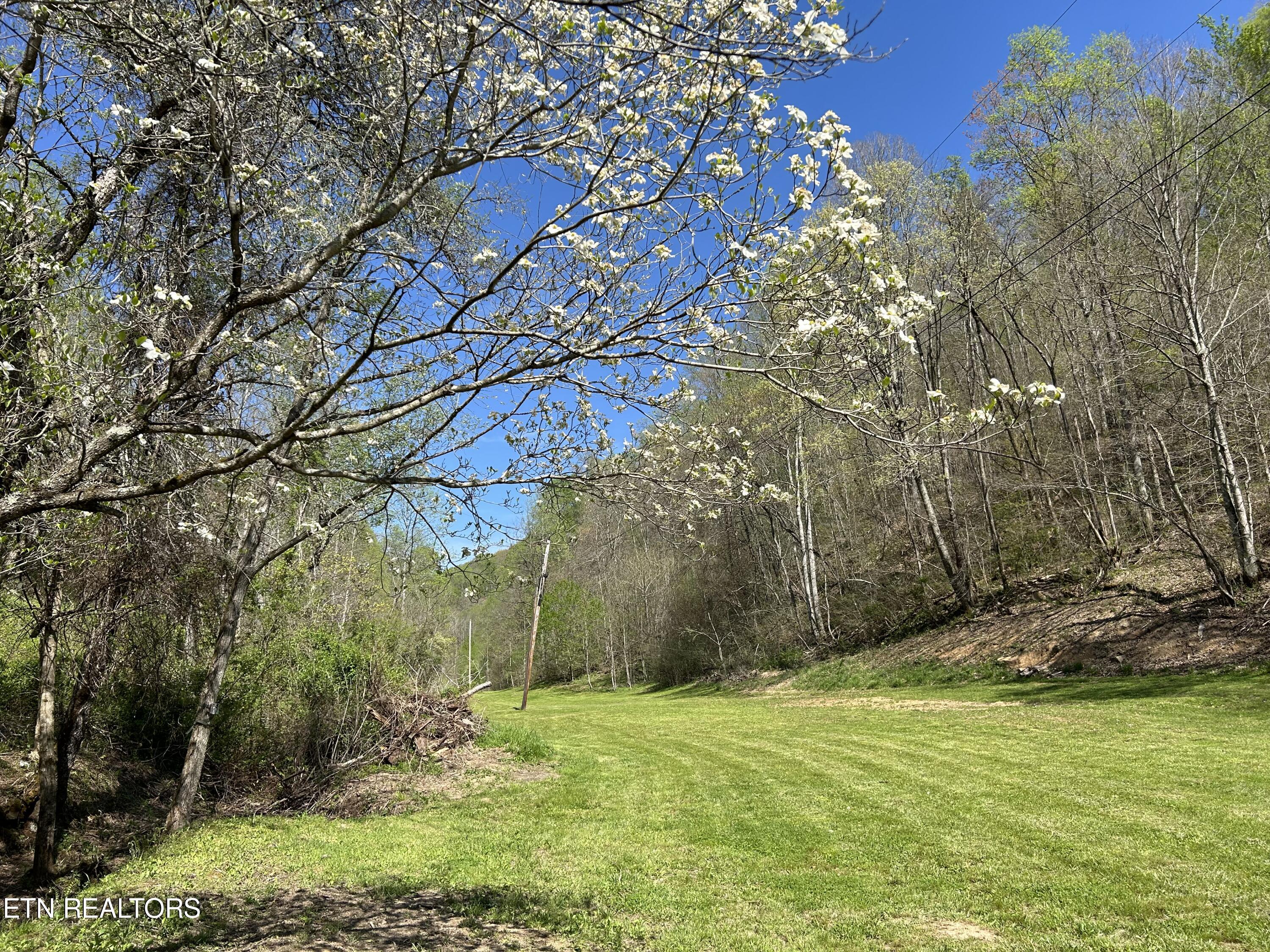 1973 Long Hollow Rd Property Photo