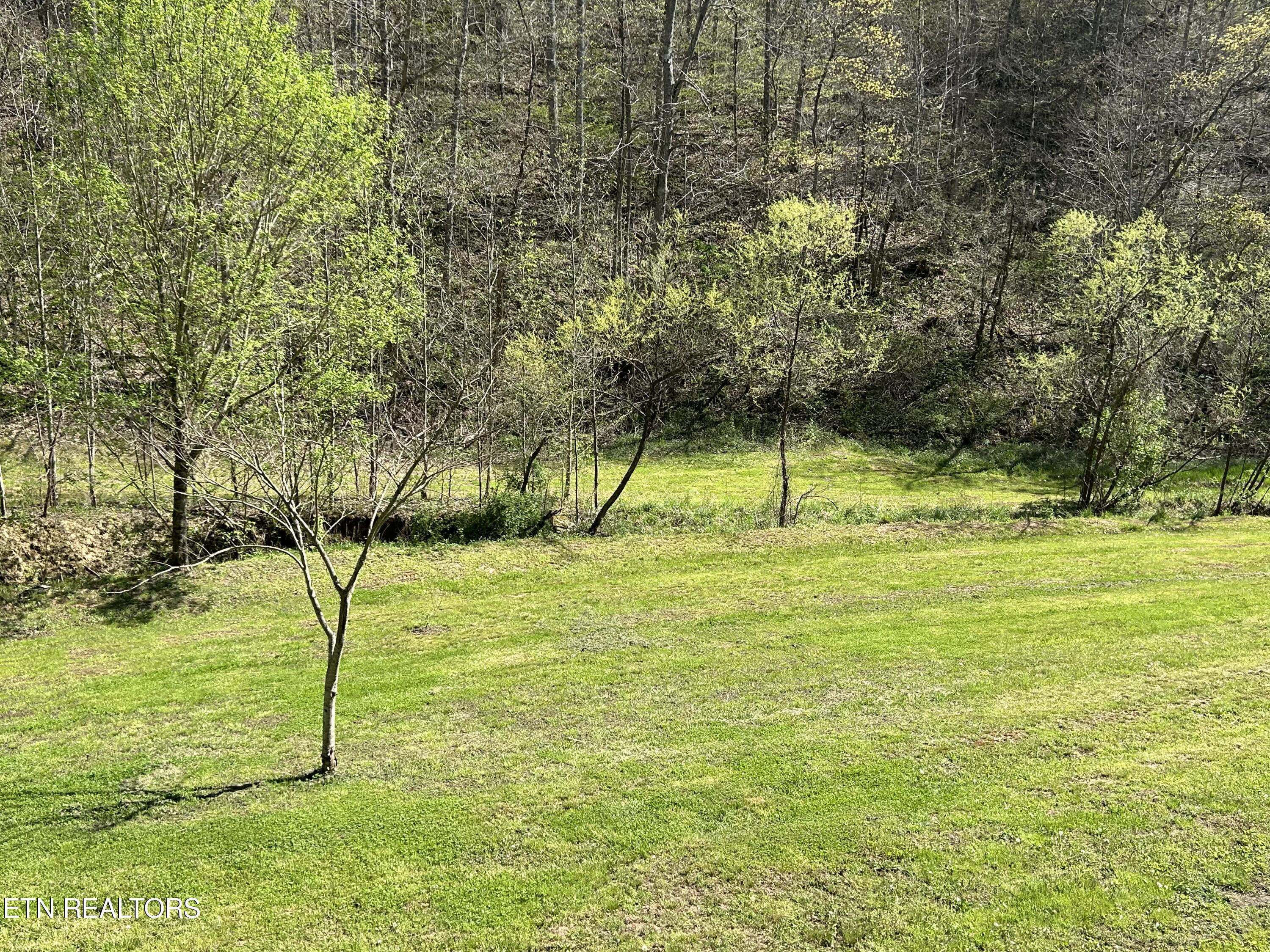 1973 Long Hollow Rd Property Photo 14