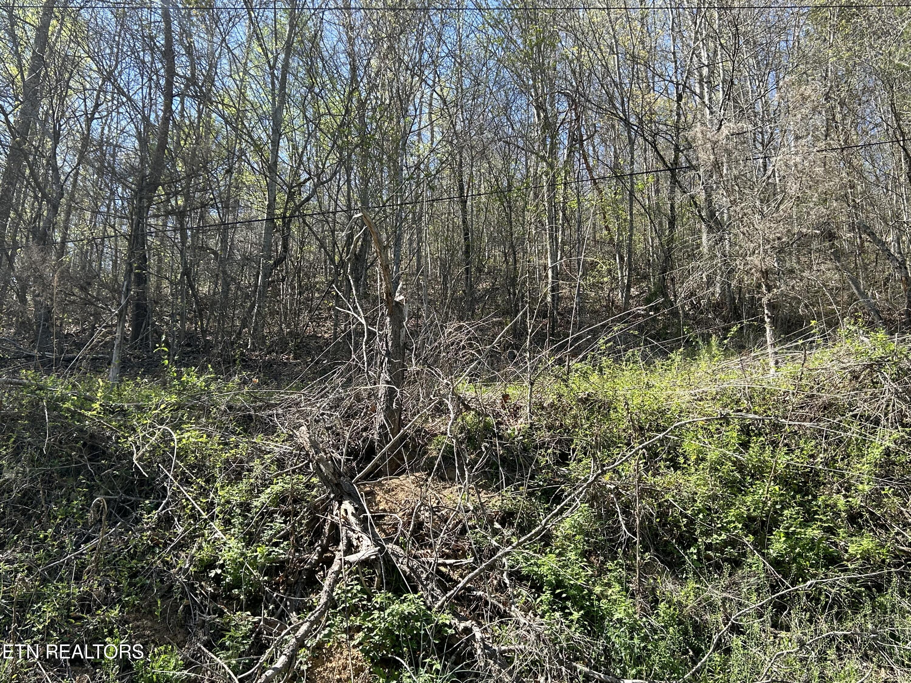 1973 Long Hollow Rd Property Photo 15
