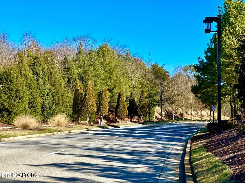 585 Black Cove Lane Property Photo 18
