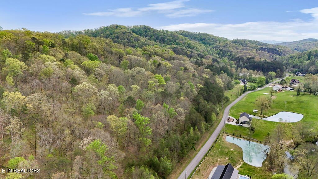 Pumpkin Hollow Rd Property Photo
