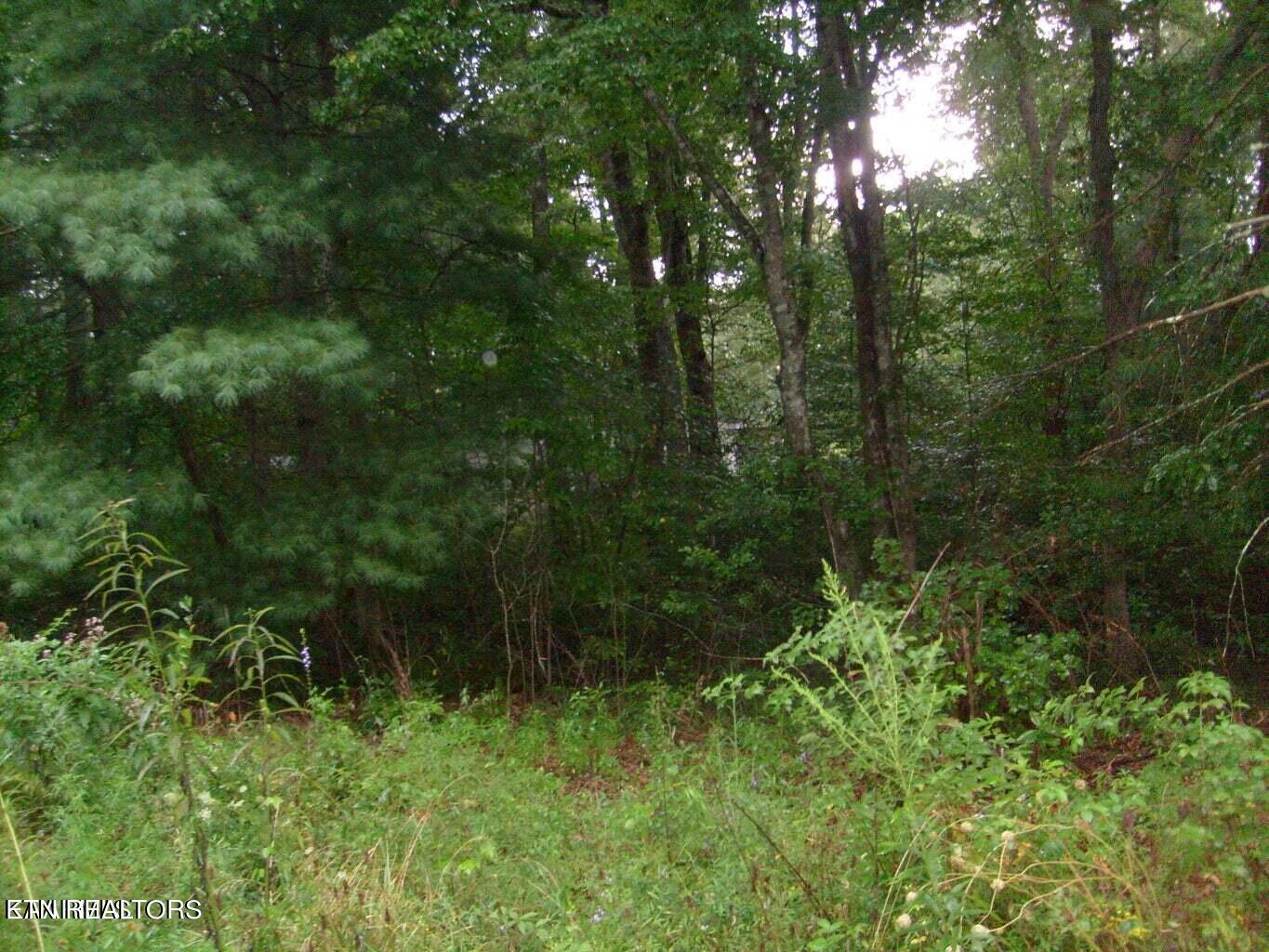 8029 Saratoga Drive Property Photo