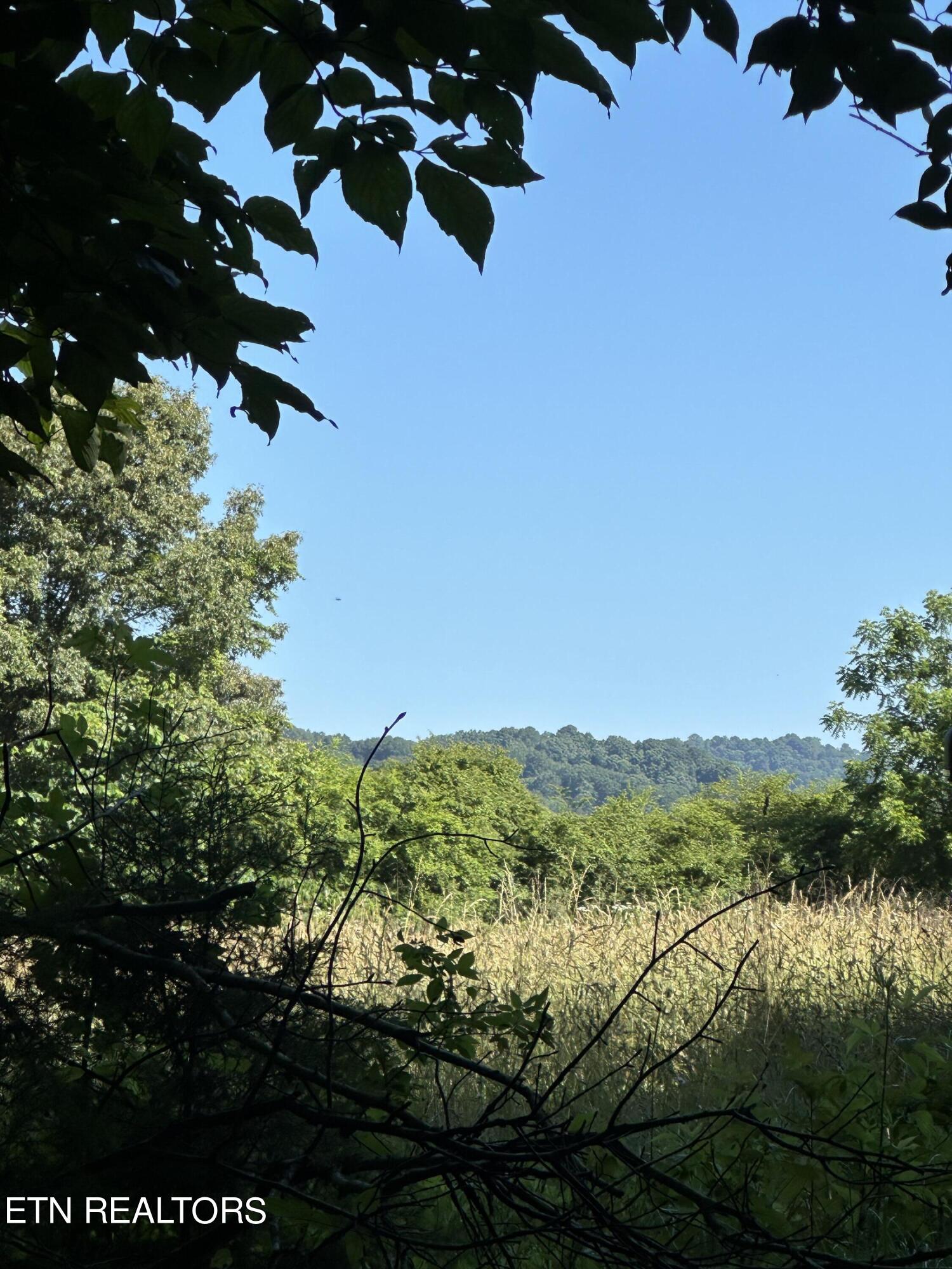 00 Williams East (42 Acres) Rd Property Photo