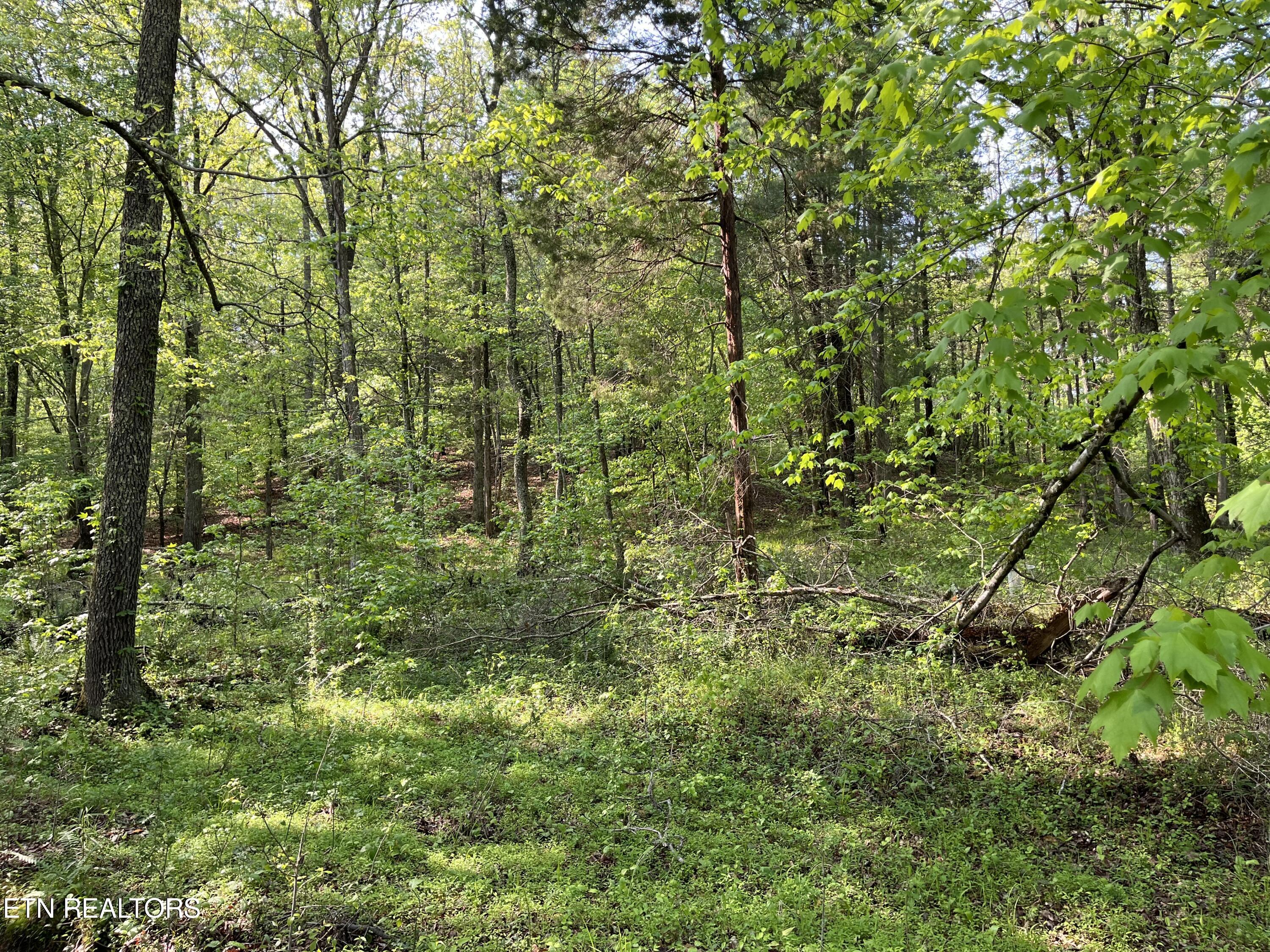 Lot 4 Womack Hollow Road Property Photo