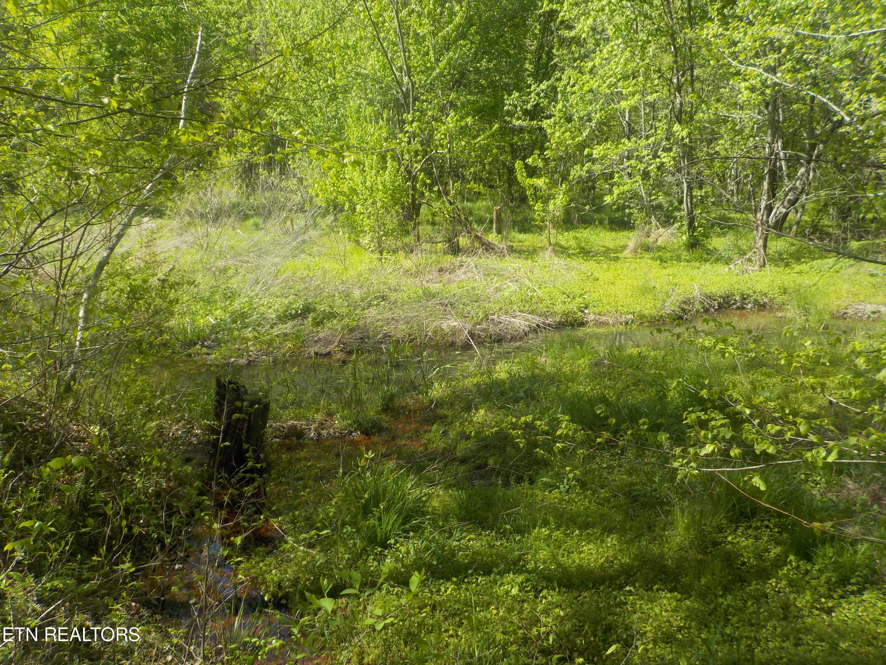 Steve Brown Road Property Photo
