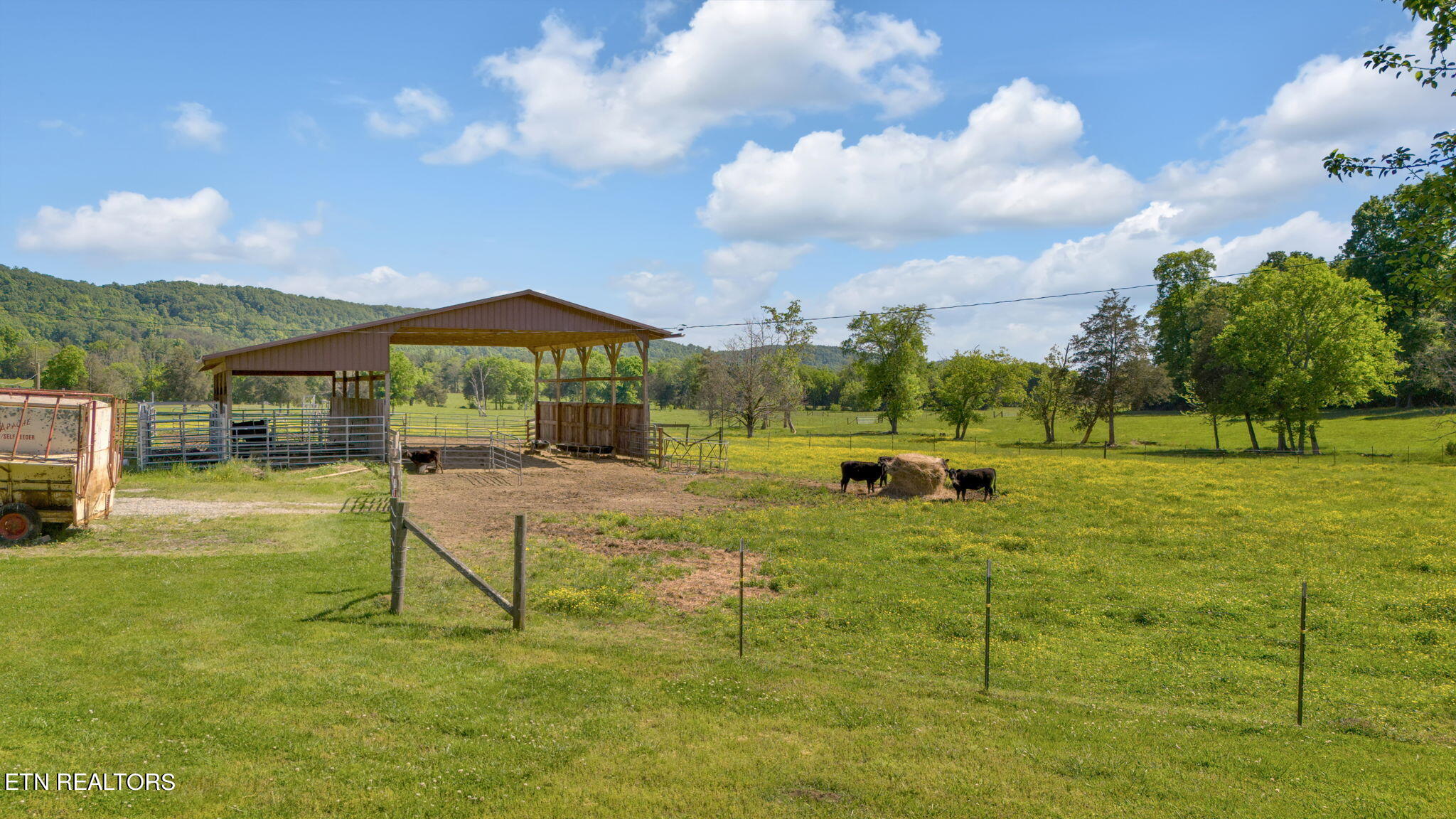 110 Hughes Lane Property Photo 12
