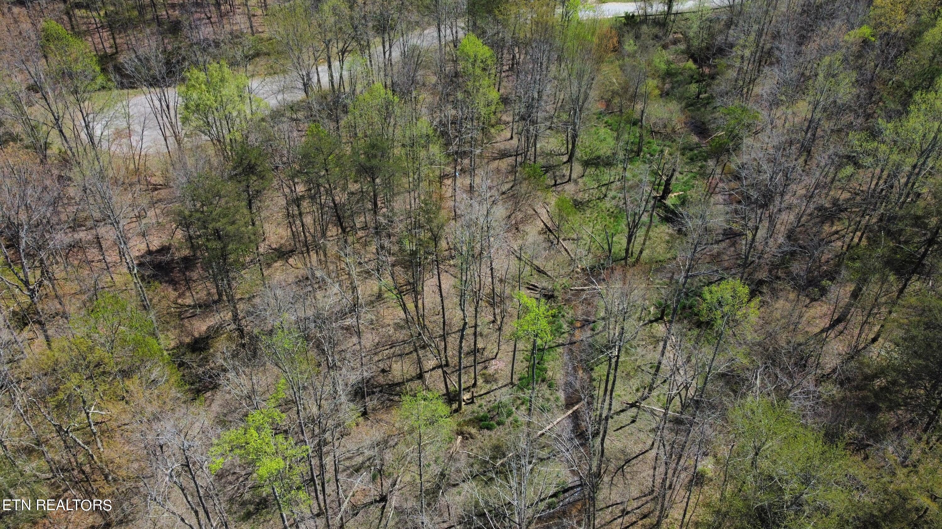 Glade Place Property Photo 2