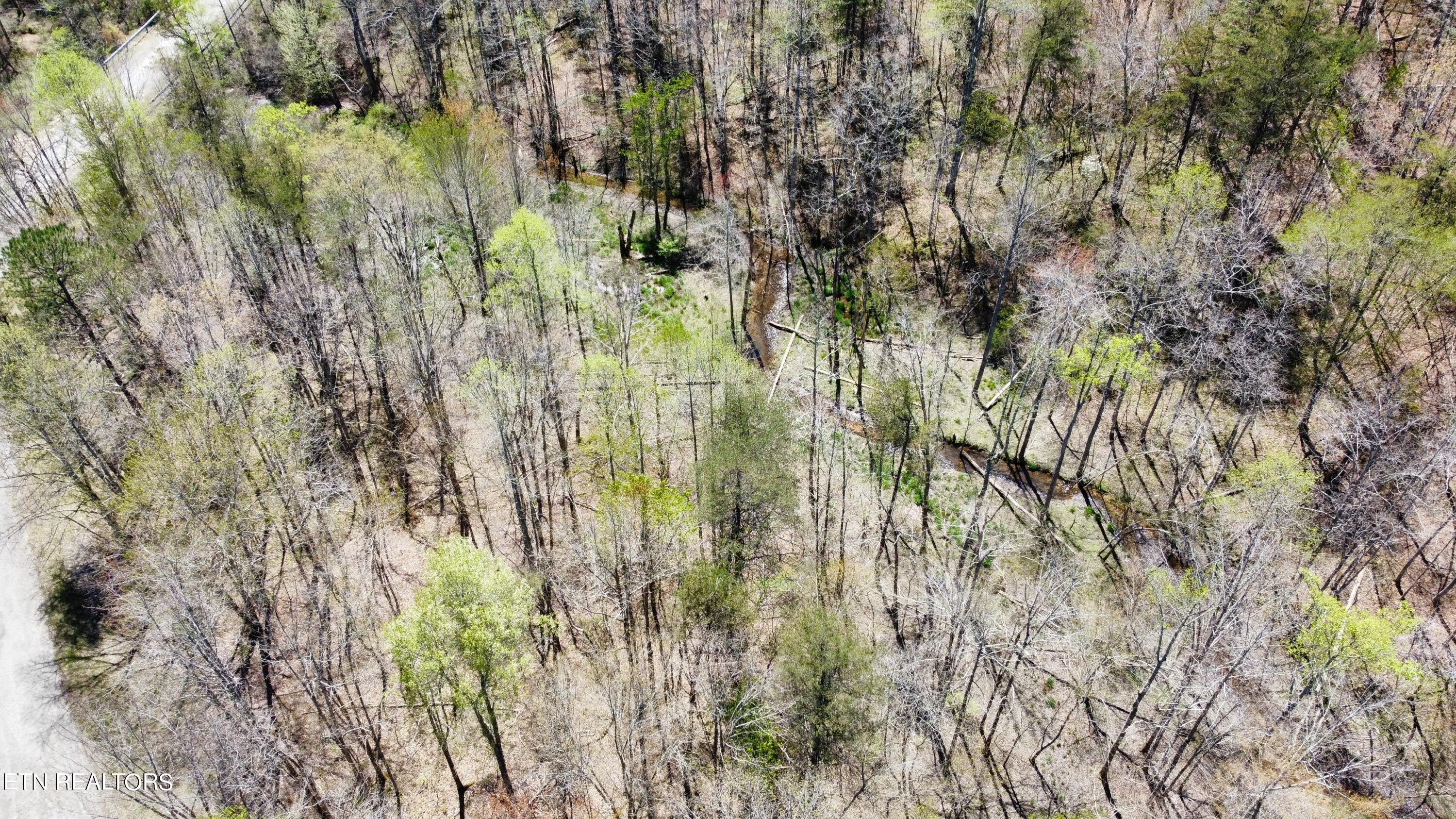 Glade Place Property Photo 3