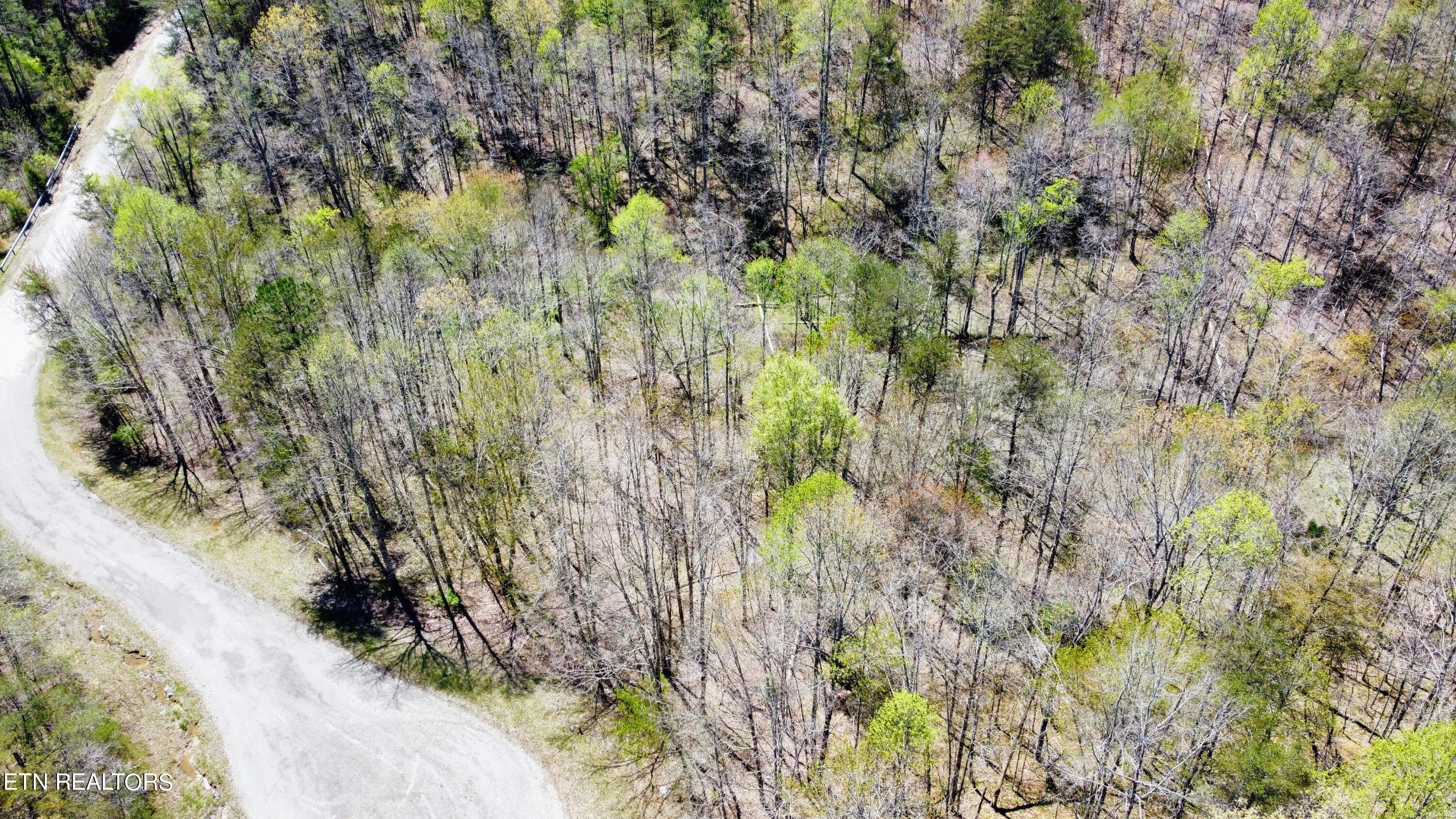 Glade Place Property Photo 4