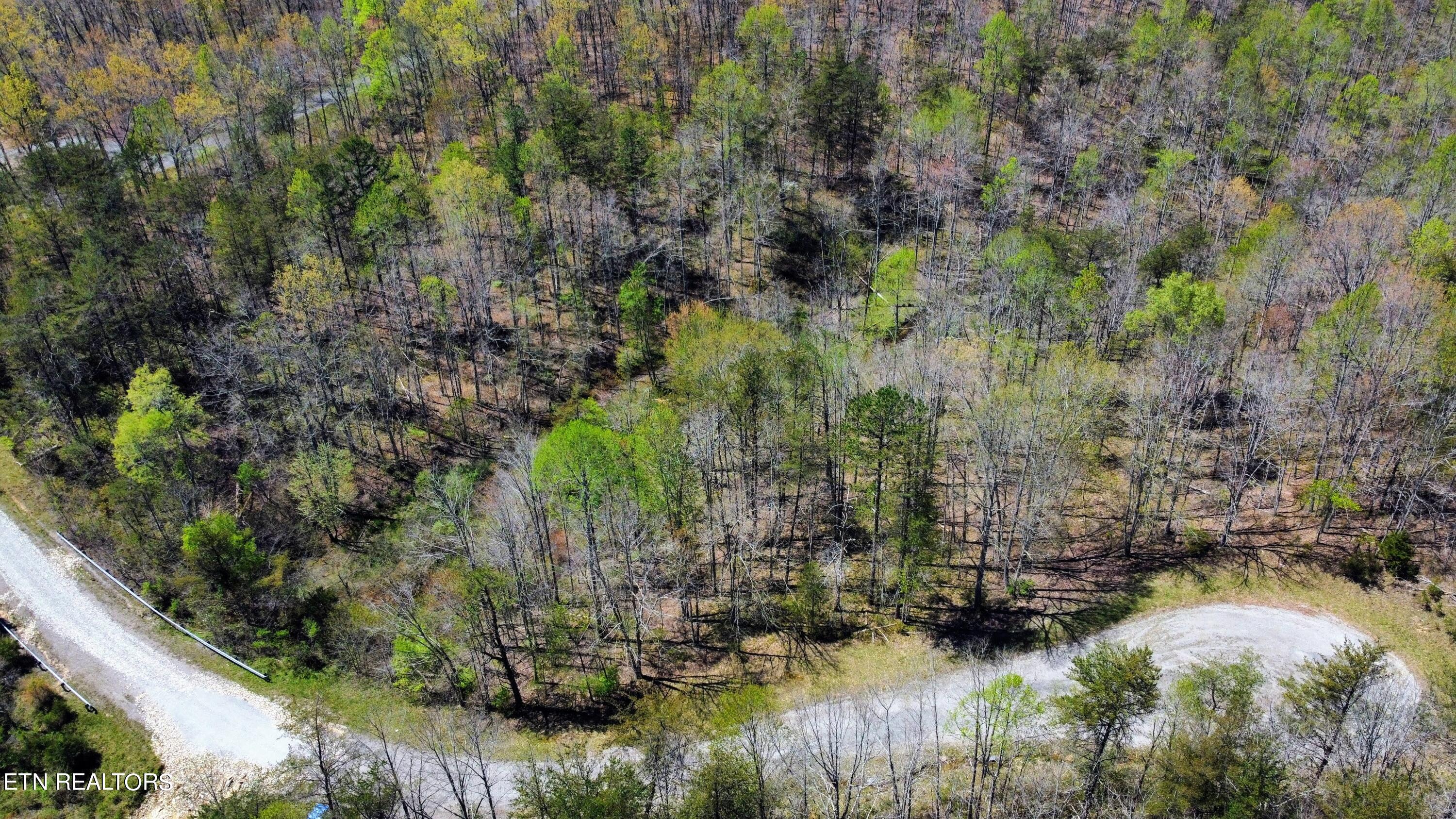 Glade Place Property Photo 5