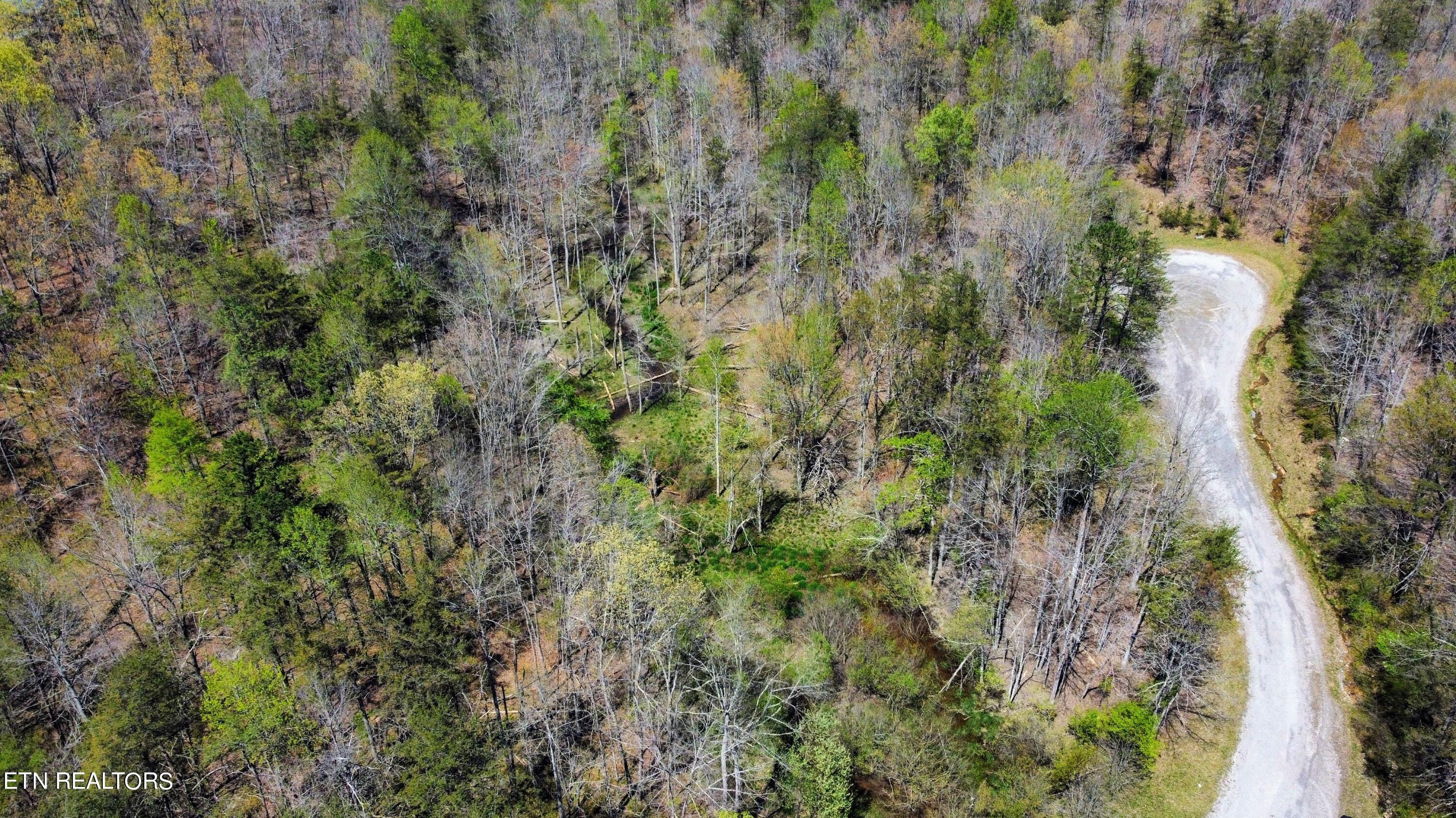 Glade Place Property Photo 6