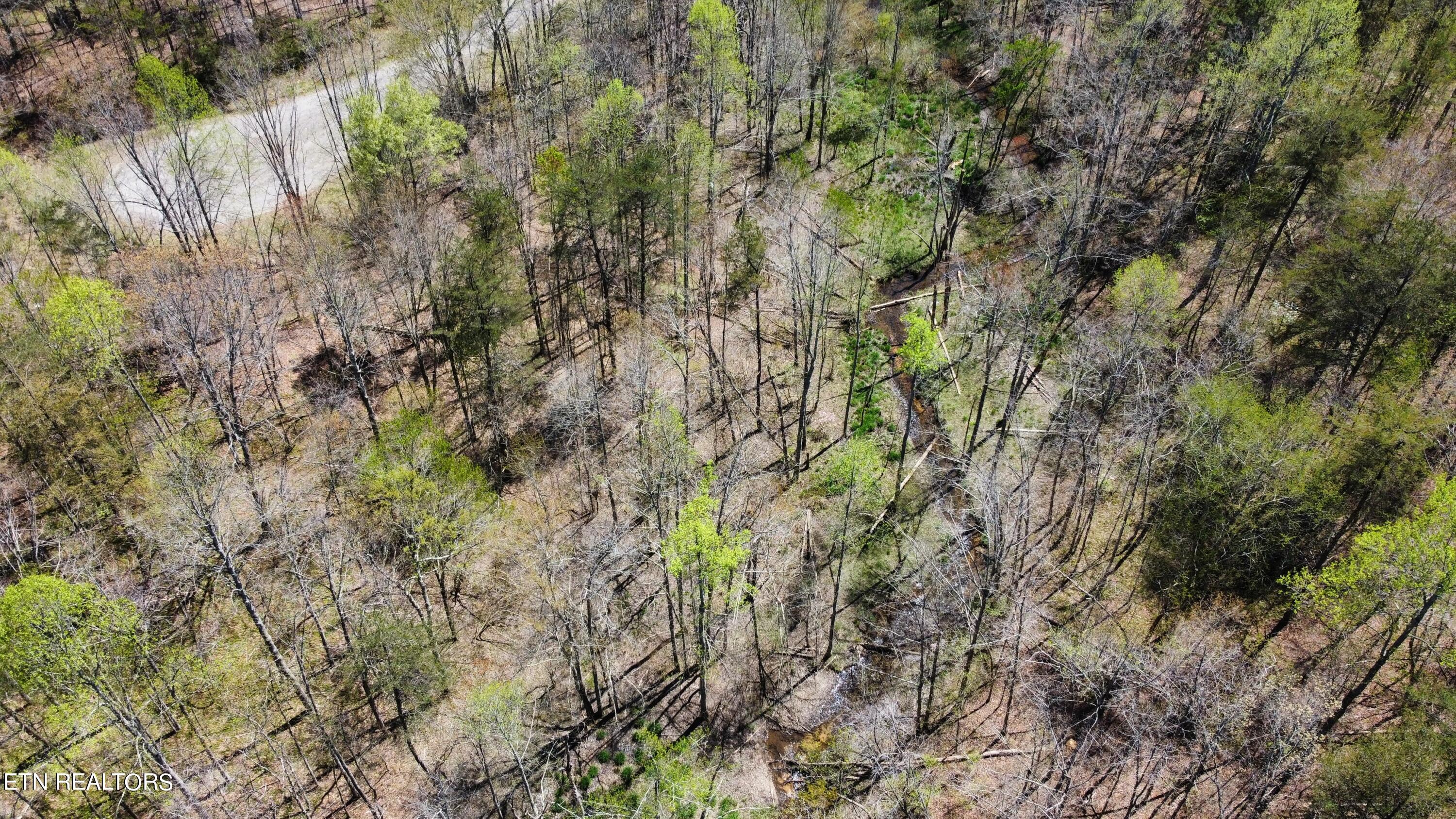 Glade Place Property Photo 7