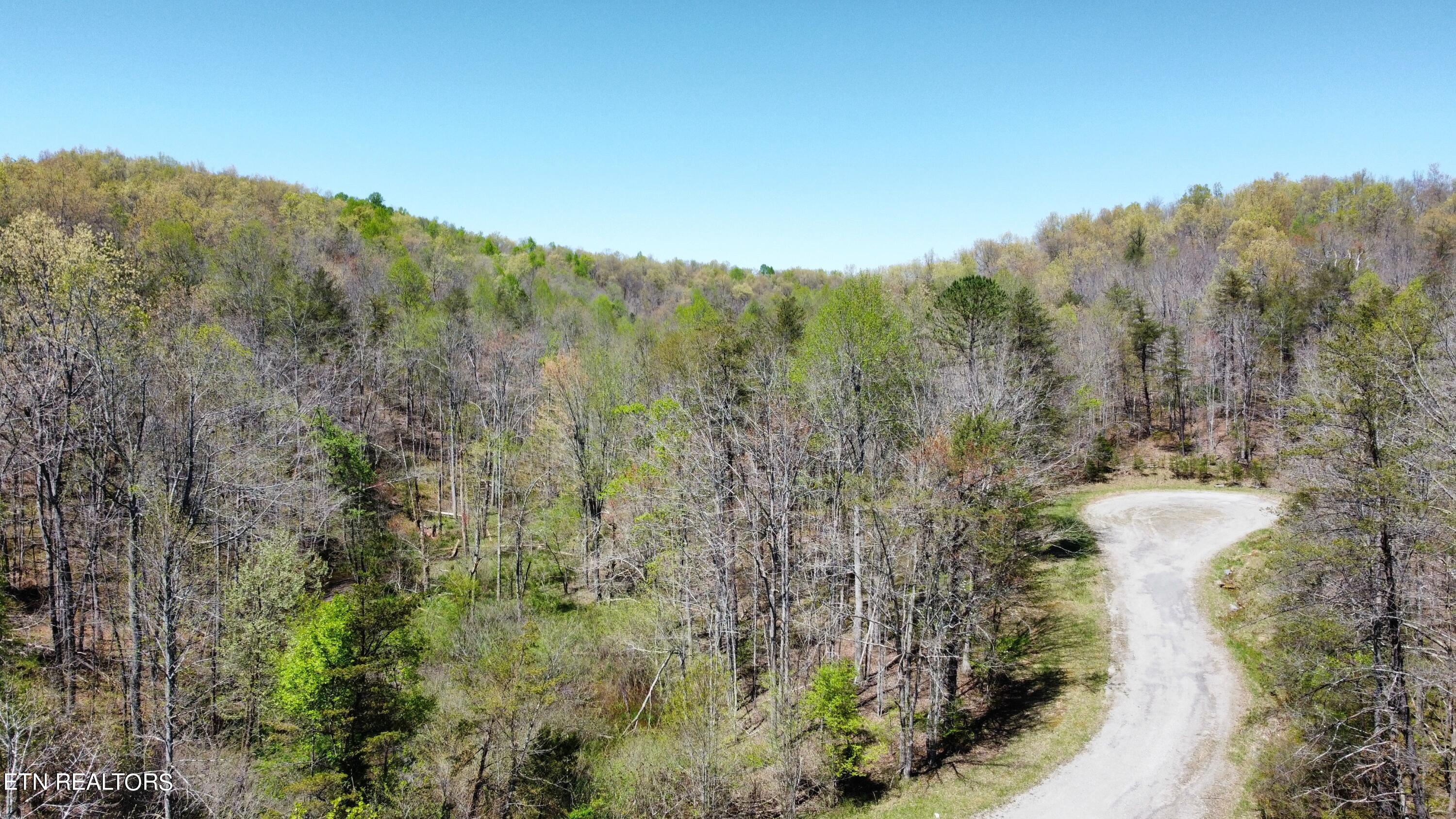 Glade Place Property Photo 11