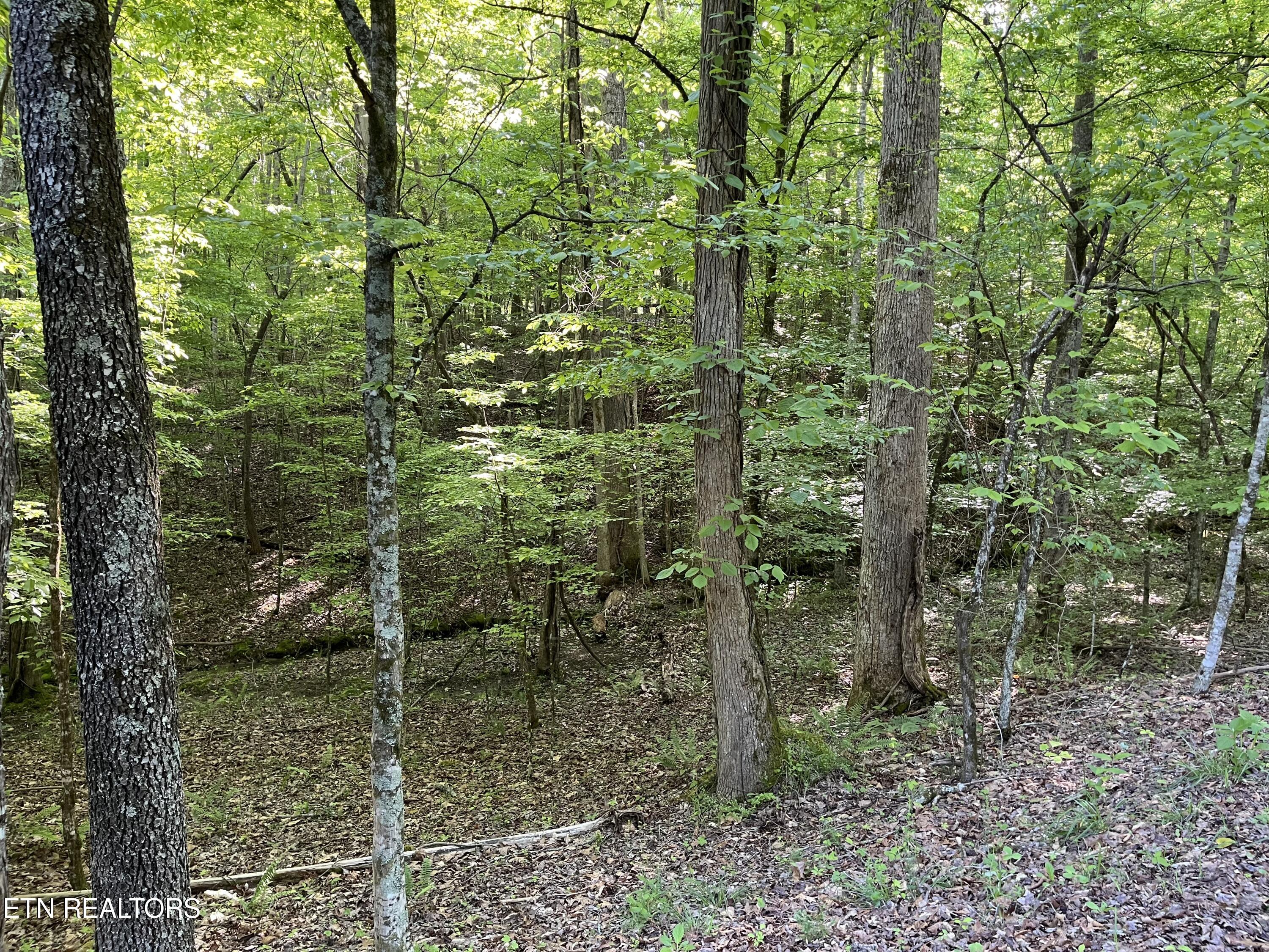 328 Property Photo
