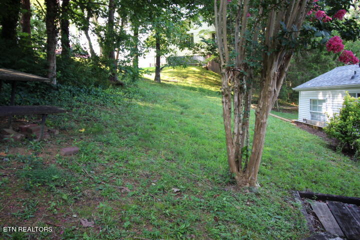 774 Big Valley Blvd Property Photo 10