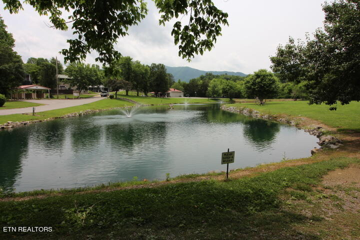 774 Big Valley Blvd Property Photo 23
